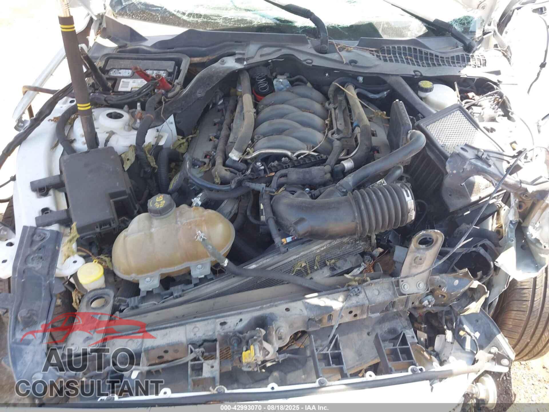 FORD MUSTANG 2015 - 1FA6P8CF9F5317992