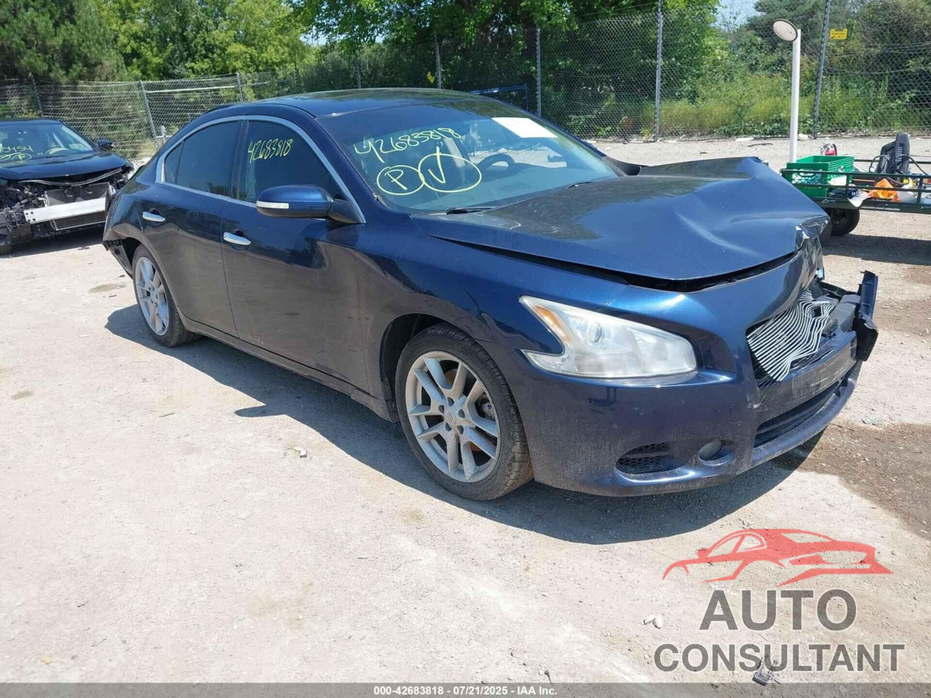 NISSAN MAXIMA 2011 - 1N4AA5AP3BC835463