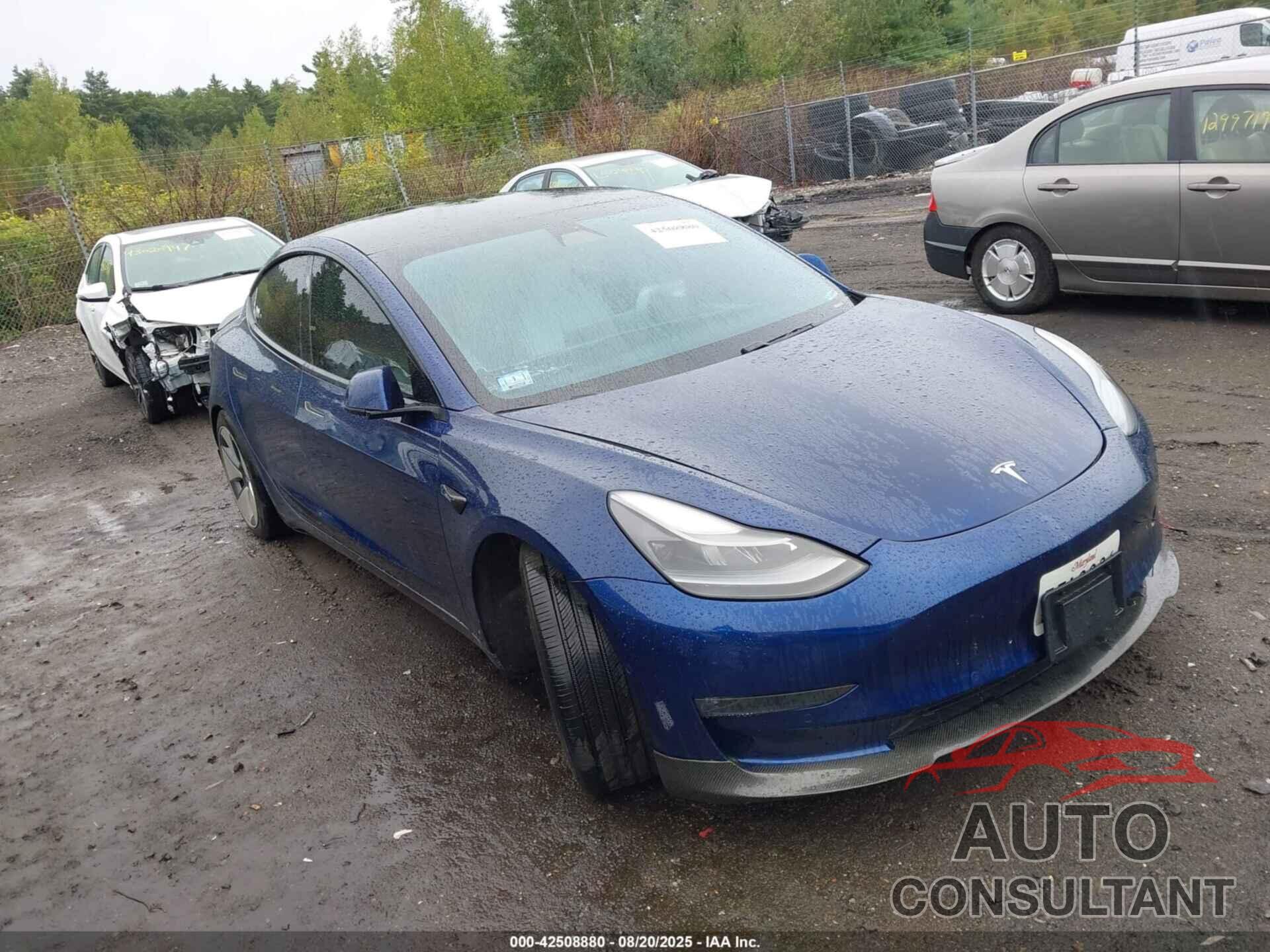 TESLA MODEL 3 2021 - 5YJ3E1EB5MF981321