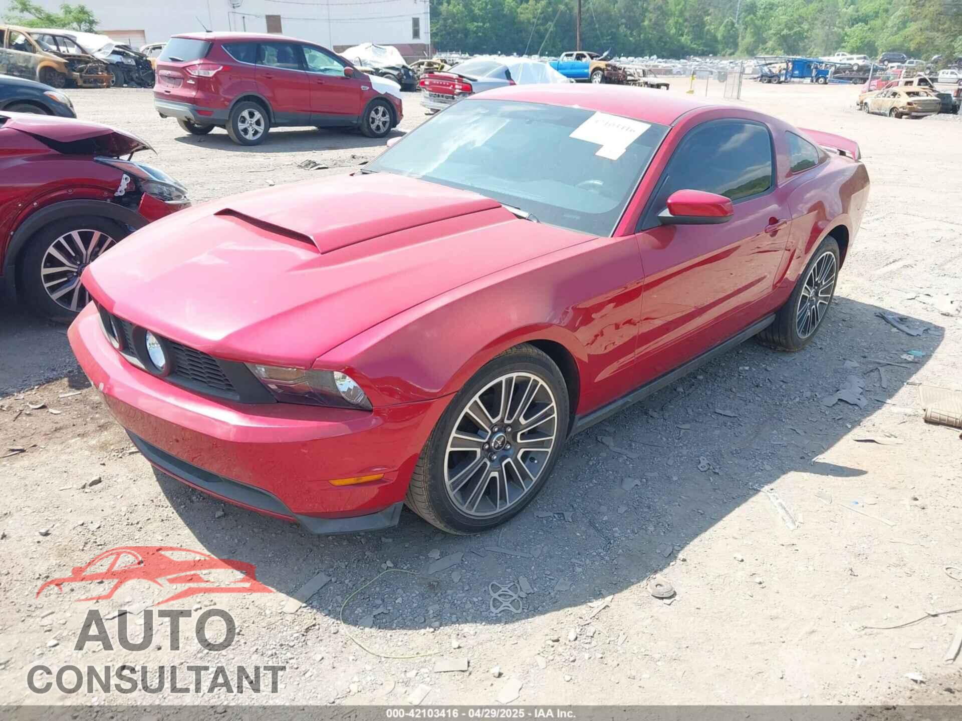 FORD MUSTANG 2010 - 1ZVBP8CH8A5154932