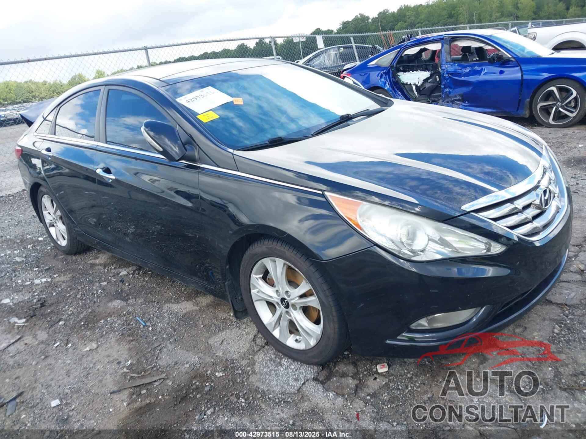 HYUNDAI SONATA 2013 - 5NPEC4AC6DH630255