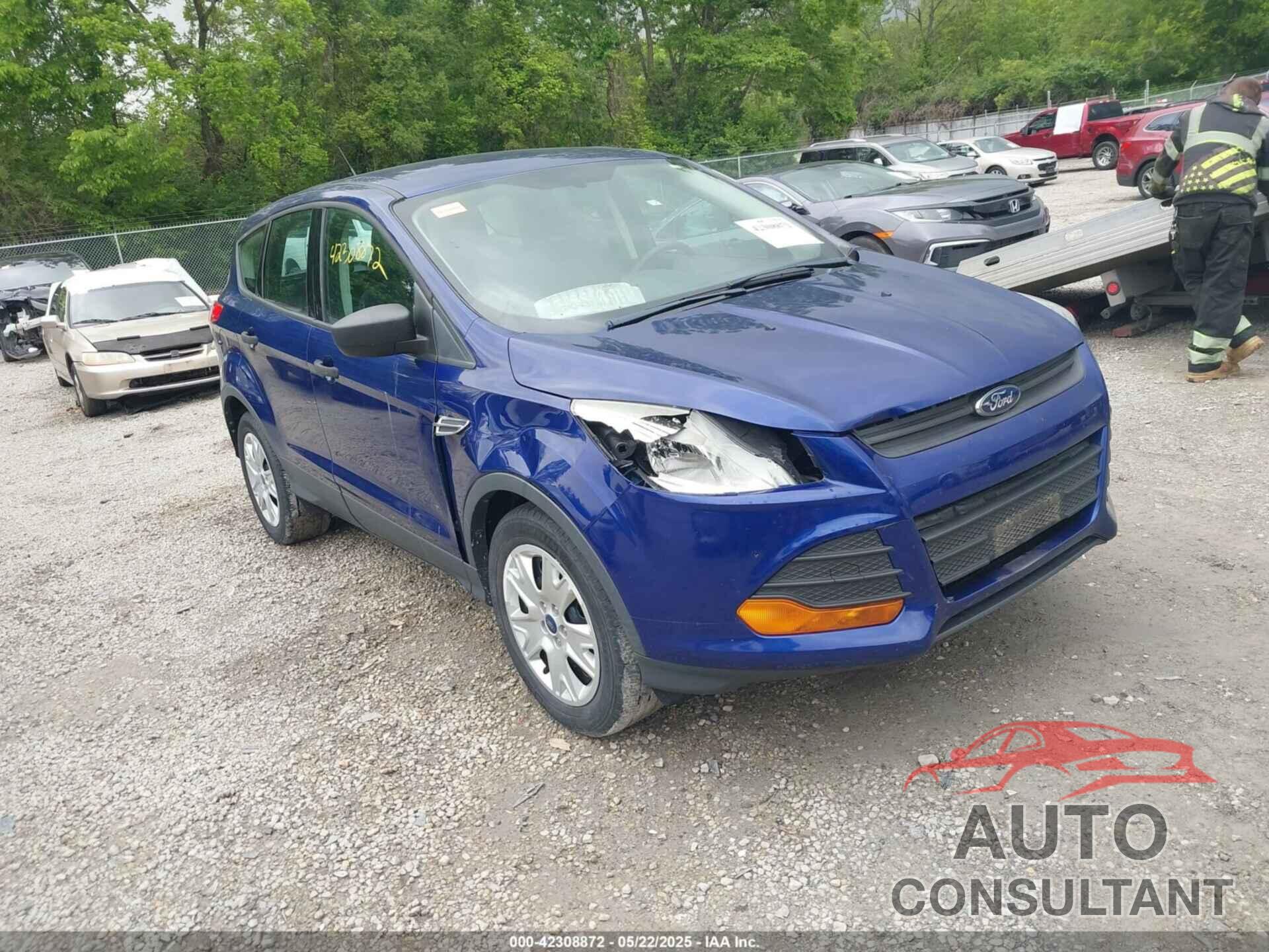 FORD ESCAPE 2016 - 1FMCU0F77GUB97852