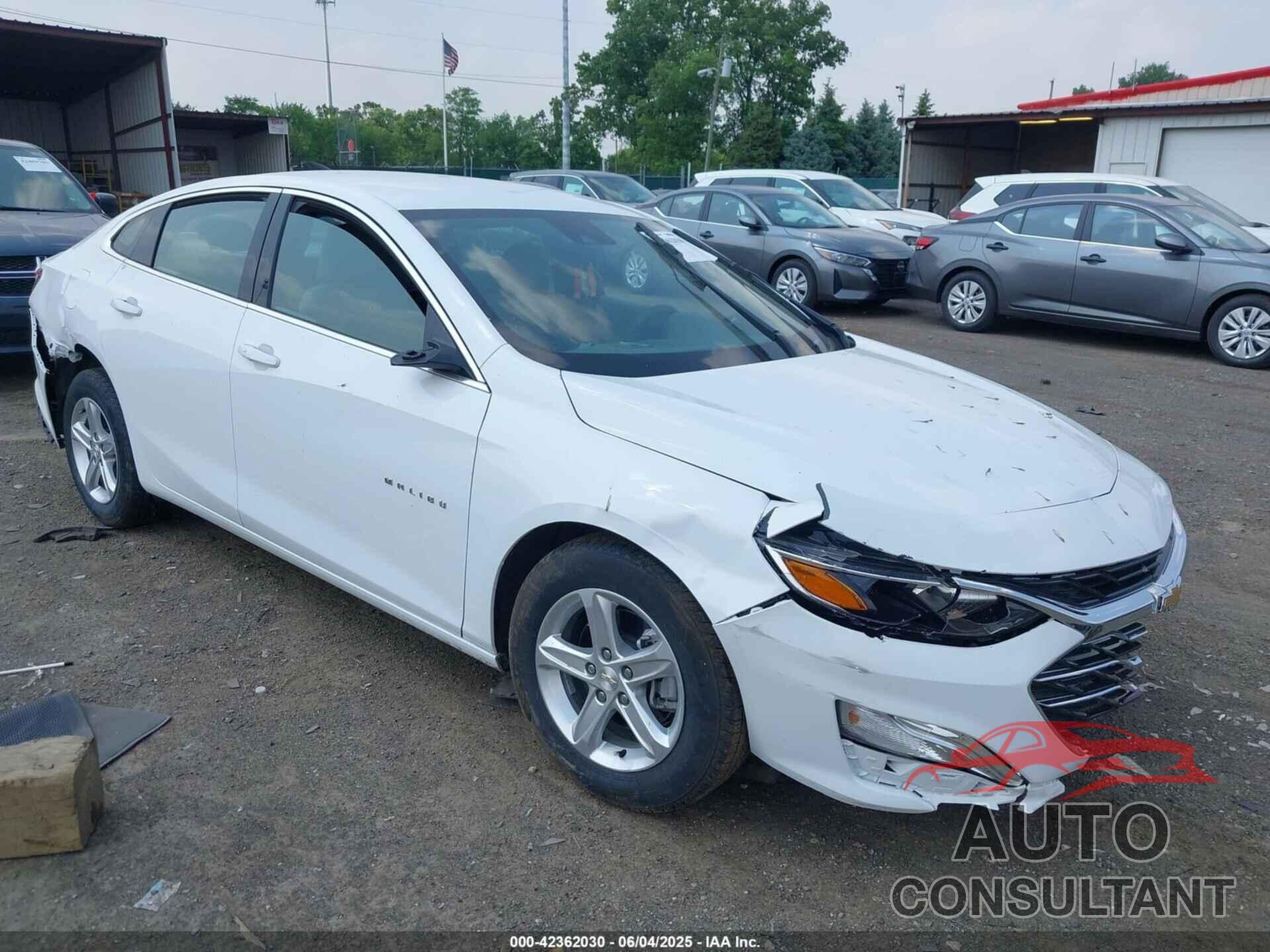 CHEVROLET MALIBU 2024 - 1G1ZC5ST4RF176653