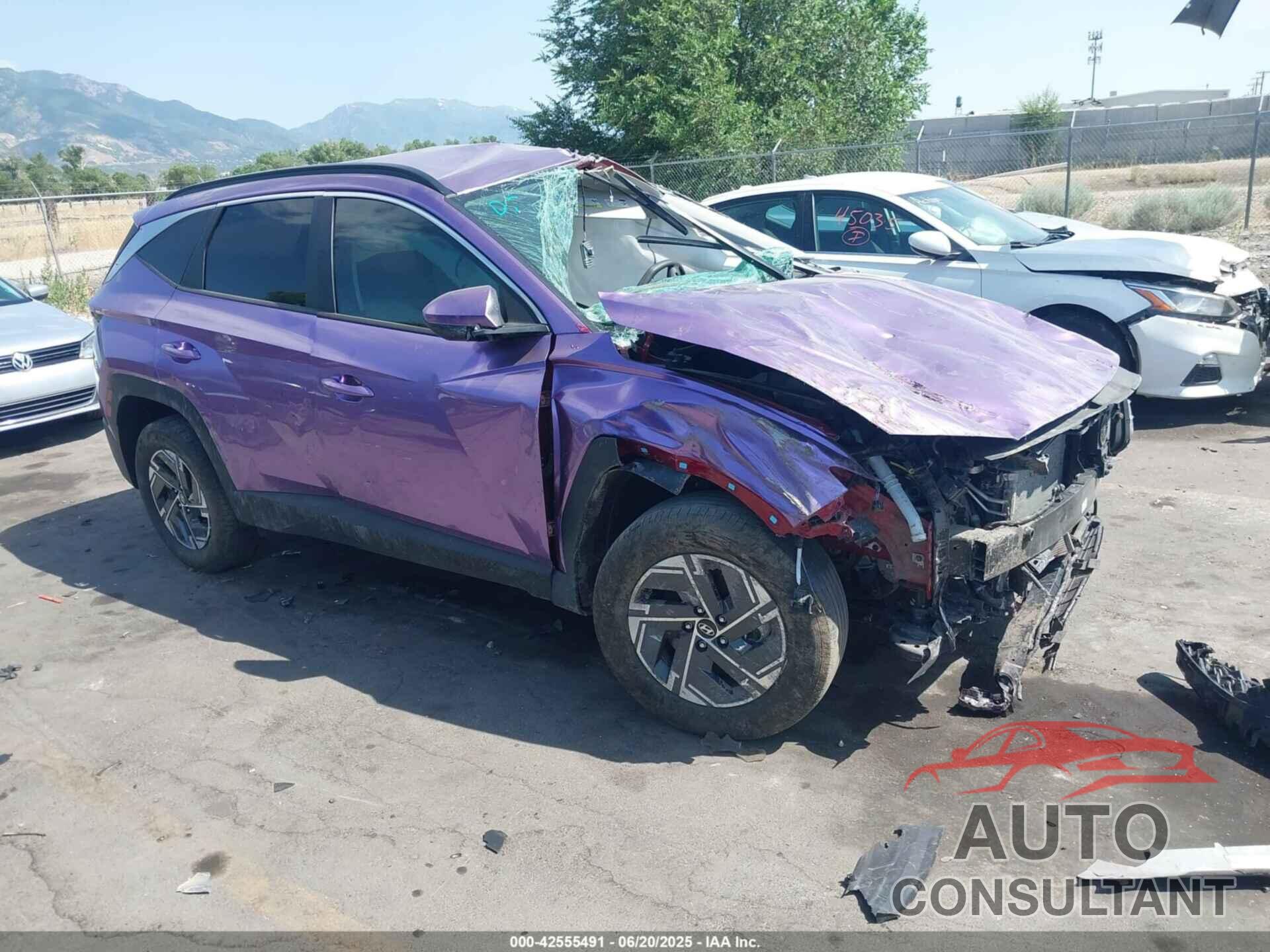 HYUNDAI TUCSON HYBRID 2025 - KM8JBDD16SU273699