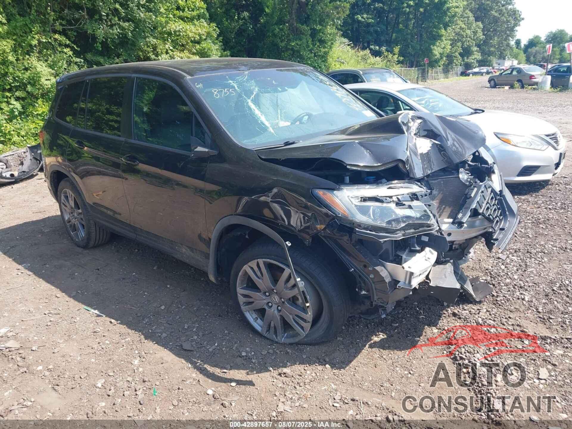 HONDA PASSPORT 2019 - 5FNYF8H5XKB023063