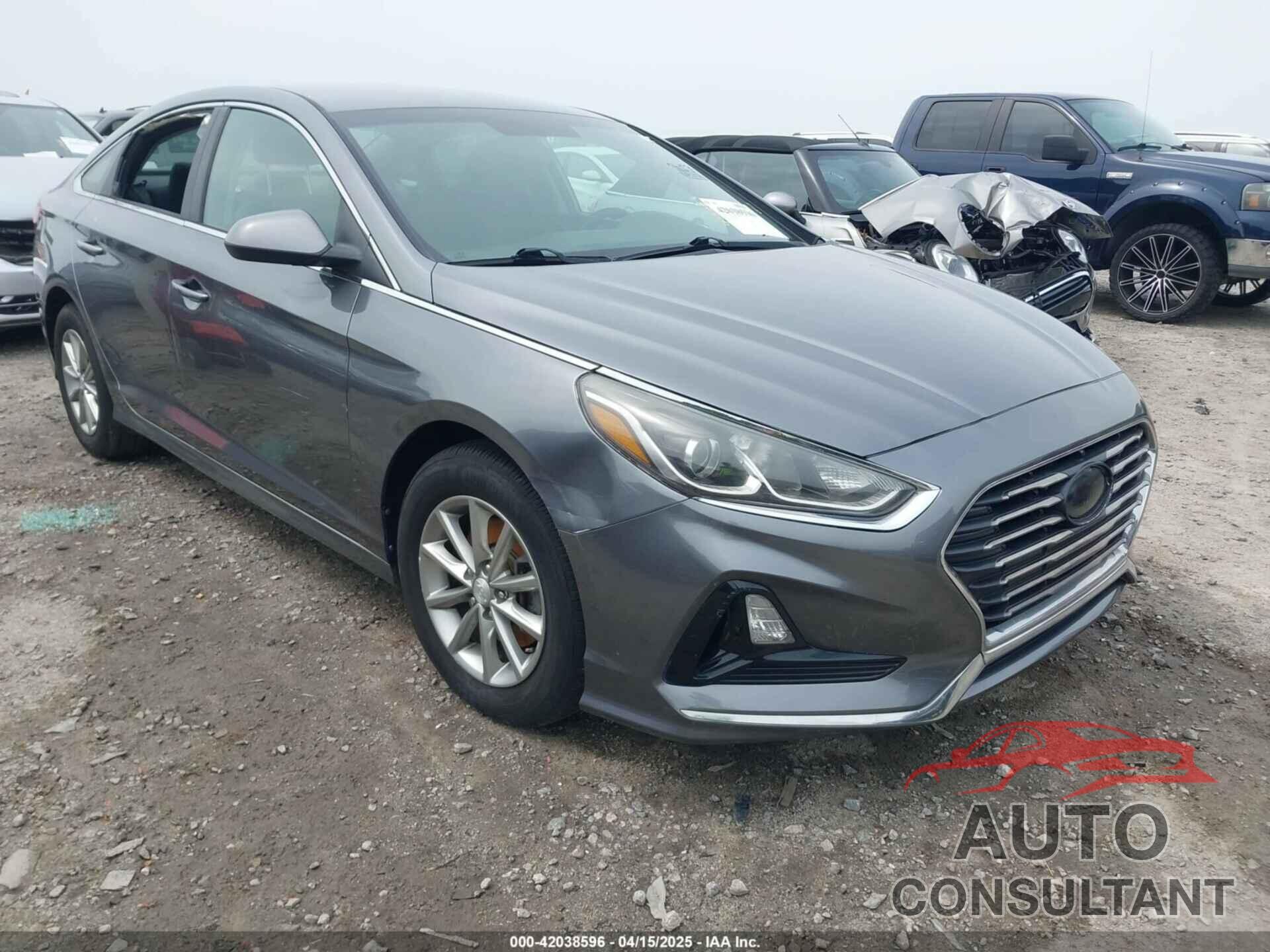 HYUNDAI SONATA 2019 - 5NPE24AFXKH740882