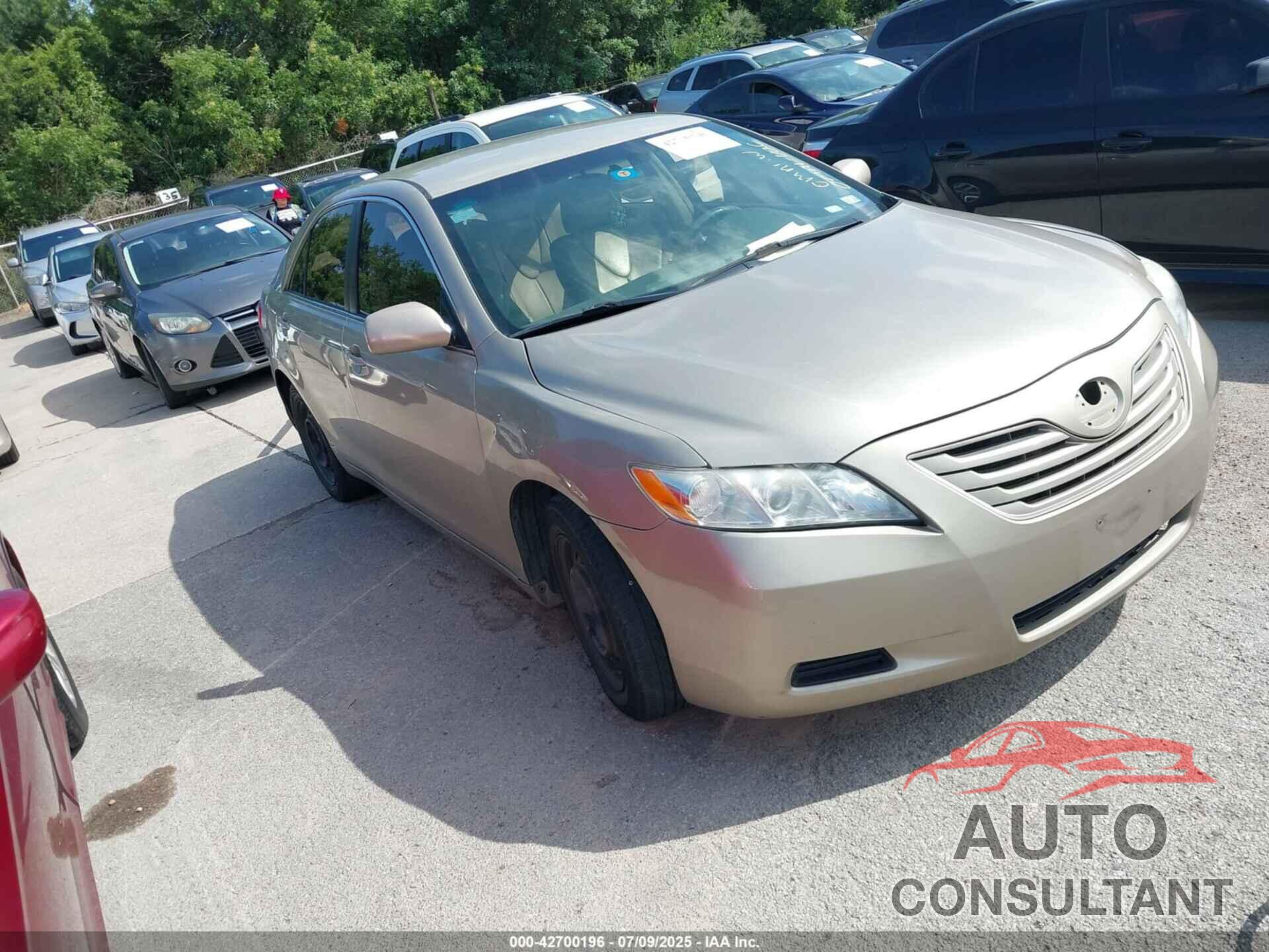 TOYOTA CAMRY 2009 - 4T1BE46K69U308530