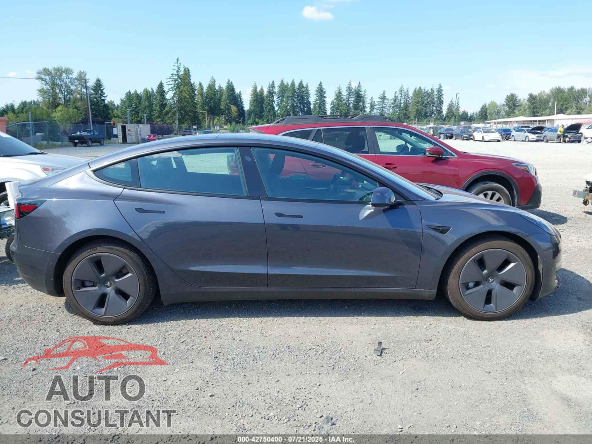 TESLA MODEL 3 2021 - 5YJ3E1EA3MF986847