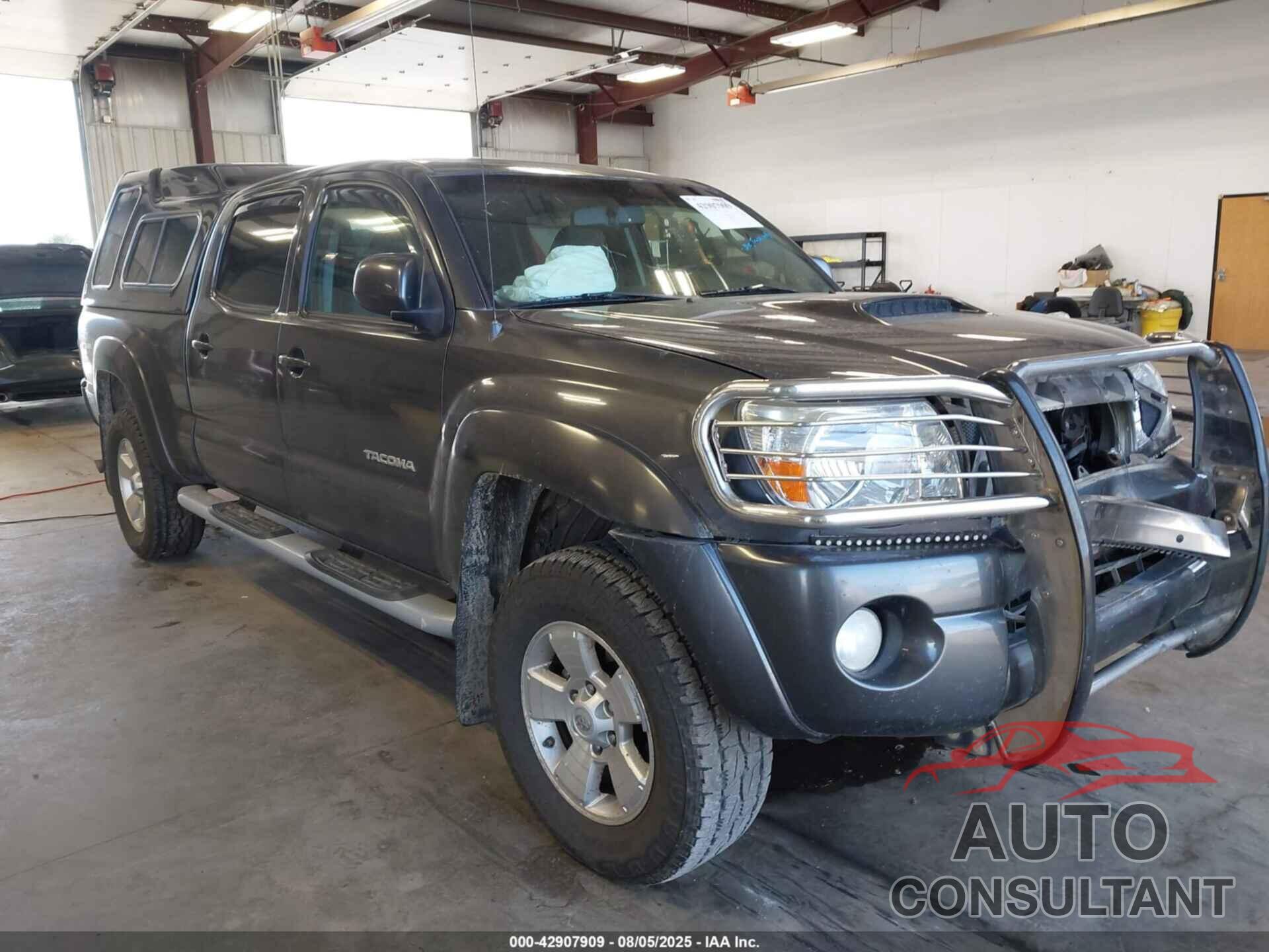TOYOTA TACOMA 2009 - 5TEMU52N29Z610278