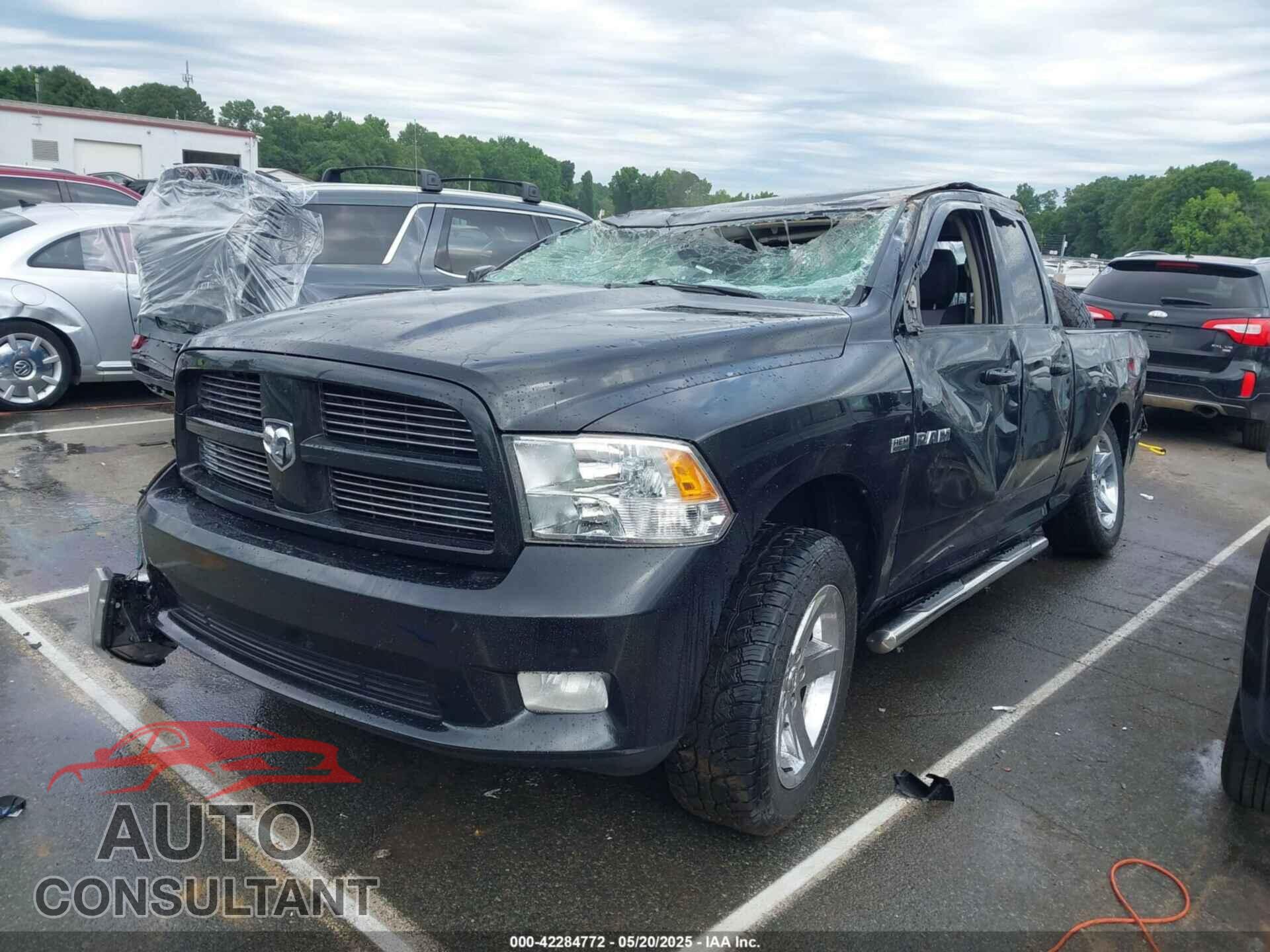 DODGE RAM 1500 2010 - 1D7RB1GT0AS202503