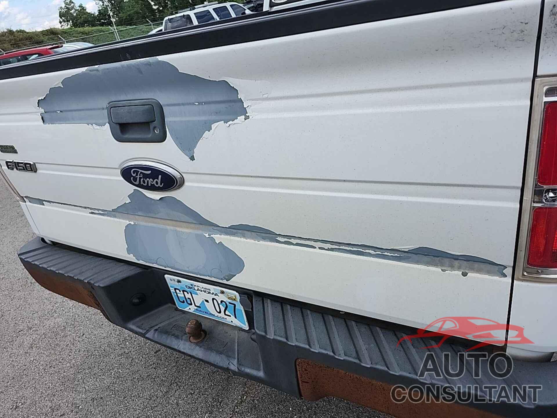 FORD F150 2010 - 1FTEX1EW7AKC52550