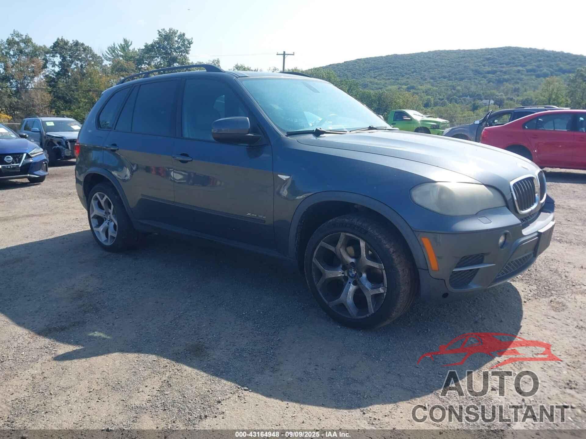 BMW X5 2011 - 5UXZV4C55BL404158