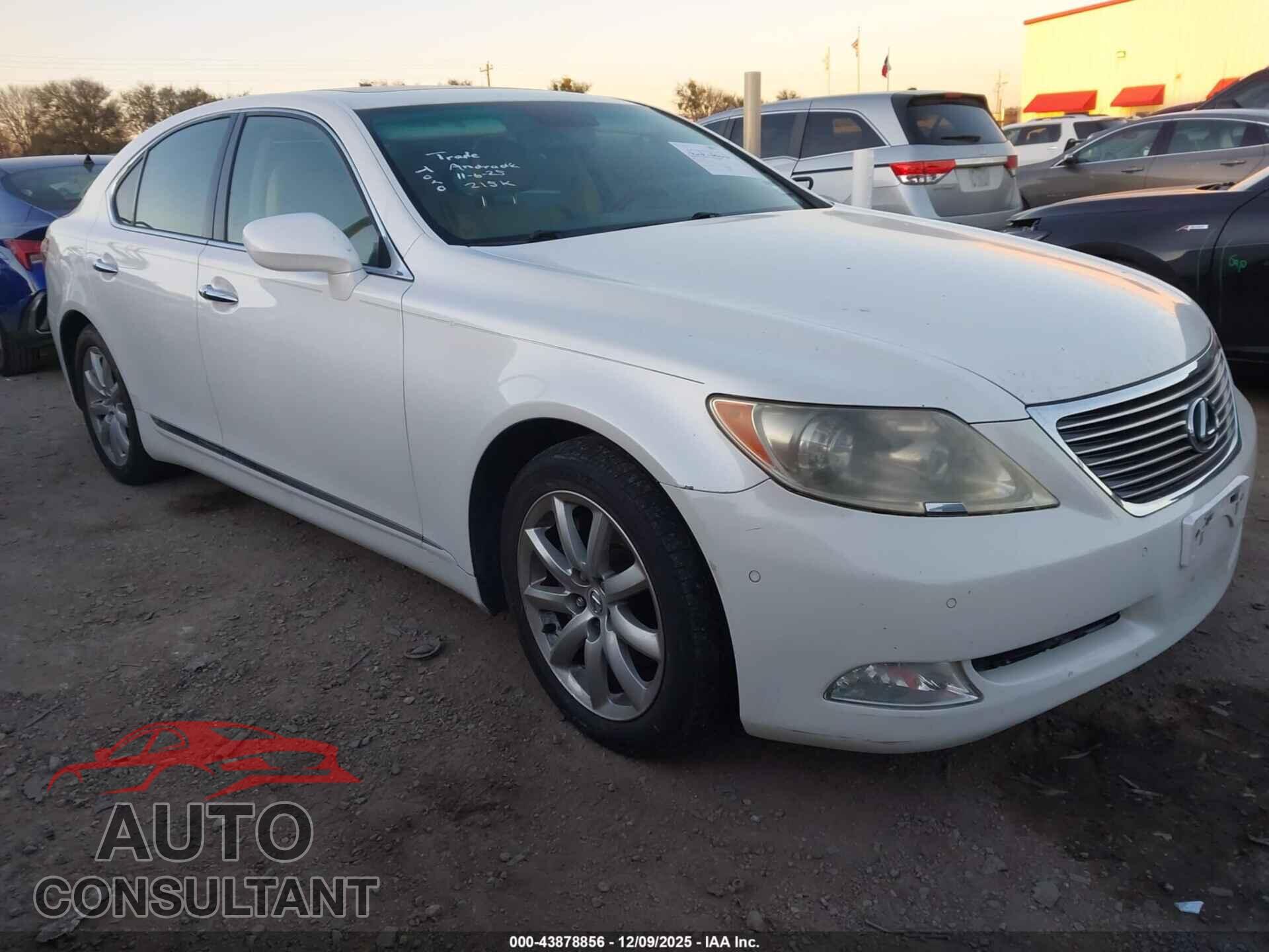 LEXUS LS 460 2009 - JTHBL46F095085357