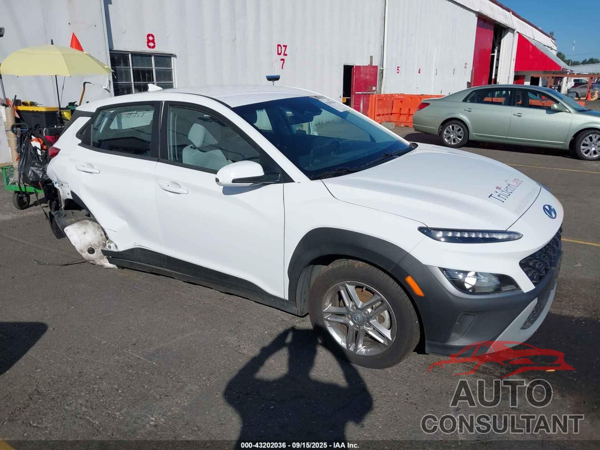 HYUNDAI KONA 2023 - KM8K22AB3PU029294