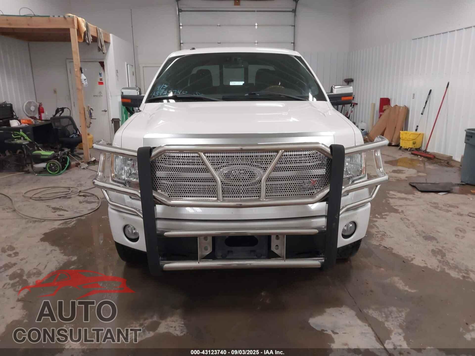 FORD F-150 2010 - 1FTFW1EV1AFD11552