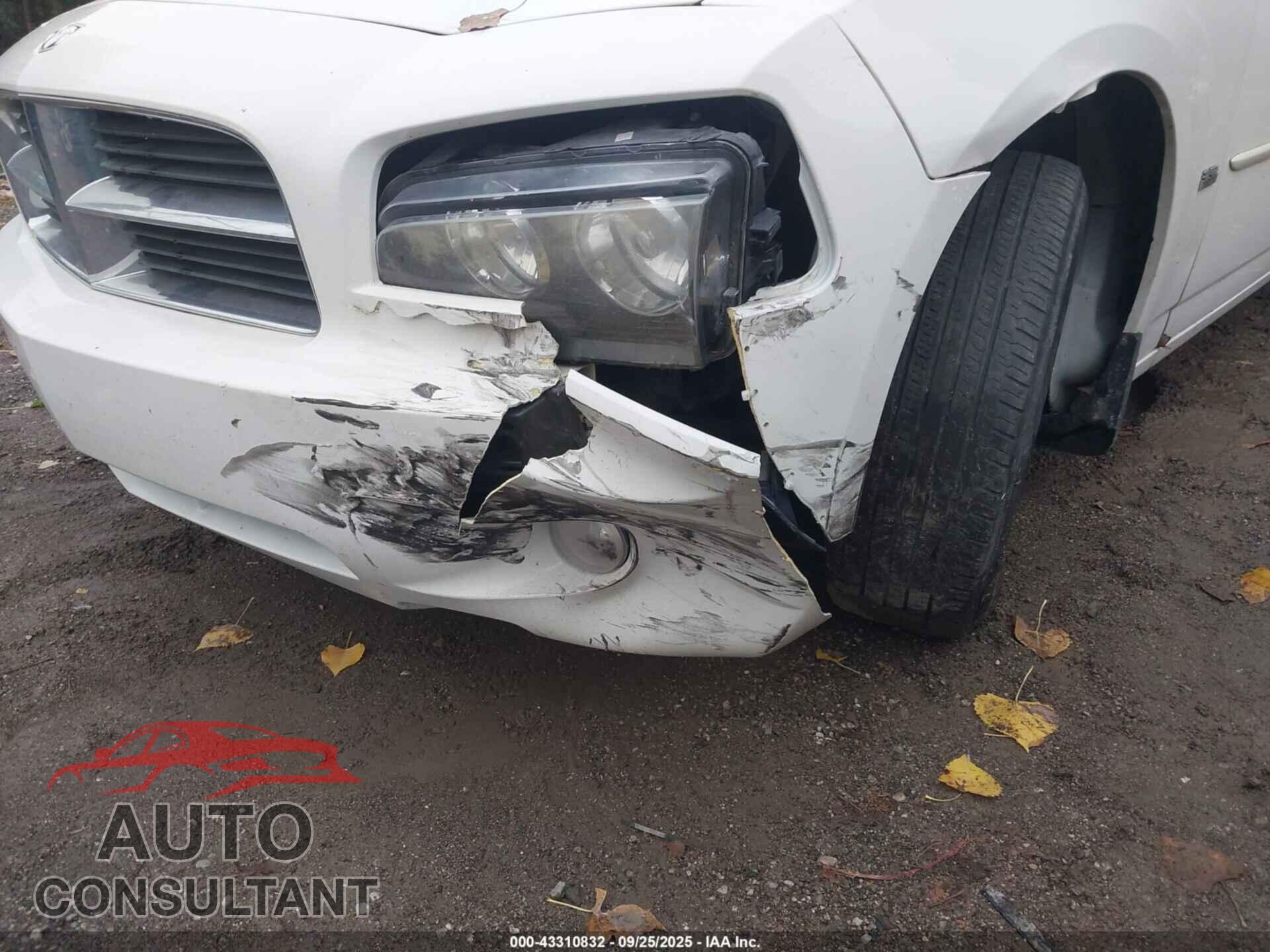 DODGE CHARGER 2010 - 2B3CA3CV7AH148809
