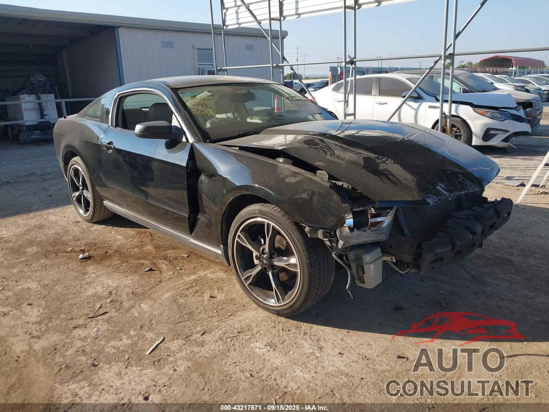 FORD MUSTANG 2010 - 1ZVBP8ANXA5180795