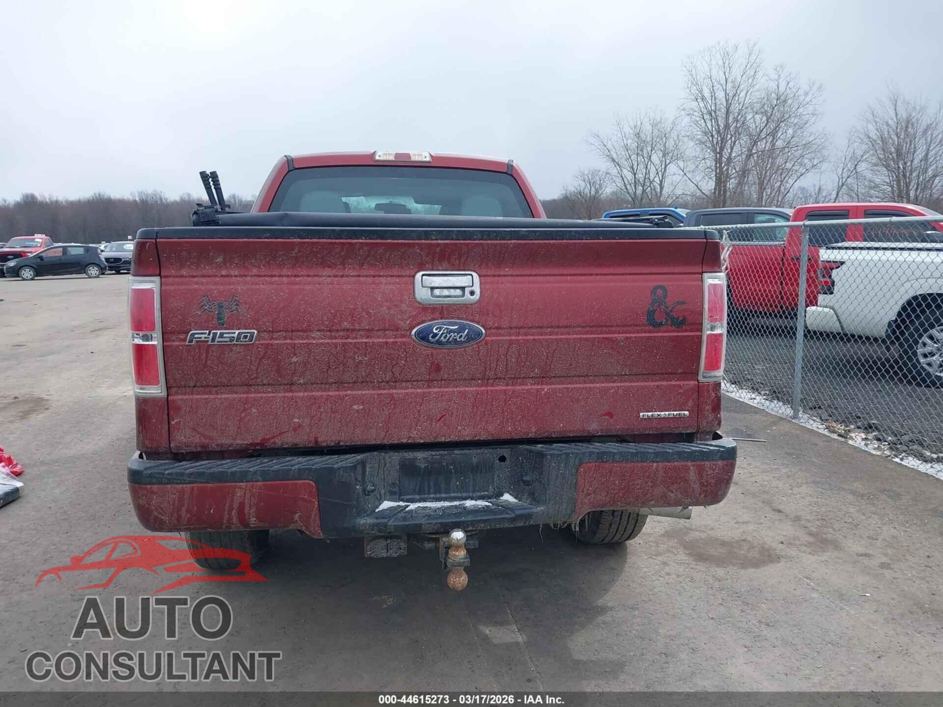FORD F-150 2014 - 1FTFX1EF1EKE62359