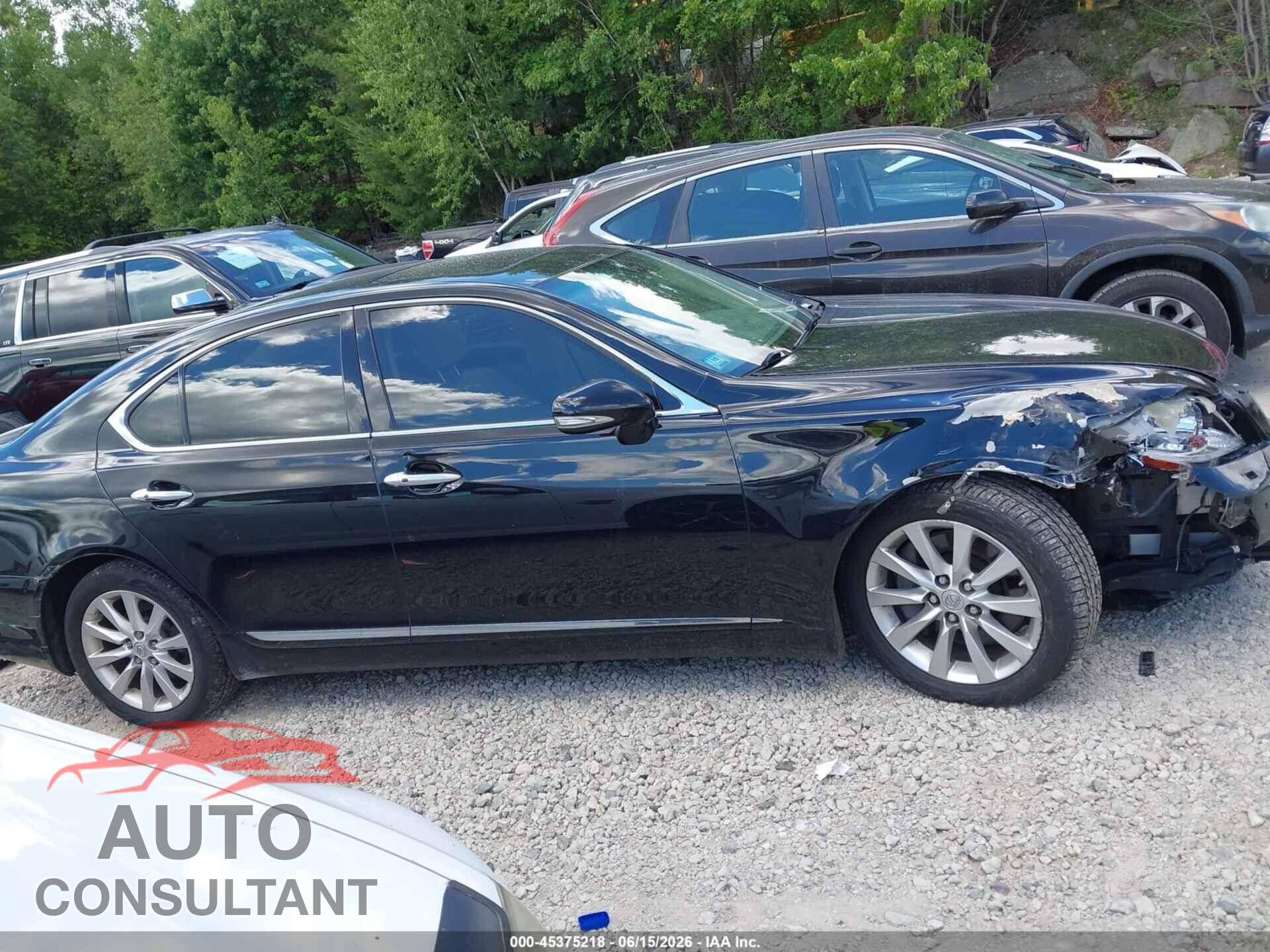 LEXUS LS 460 2011 - JTHCL5EF5B5010199