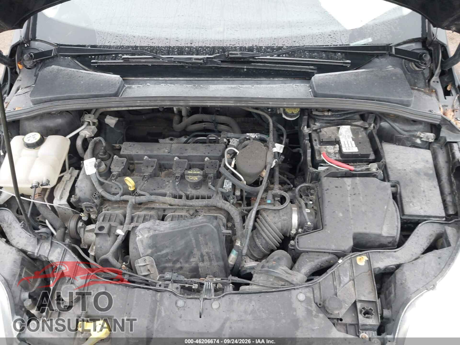 FORD FOCUS 2012 - 1FAHP3F20CL409701