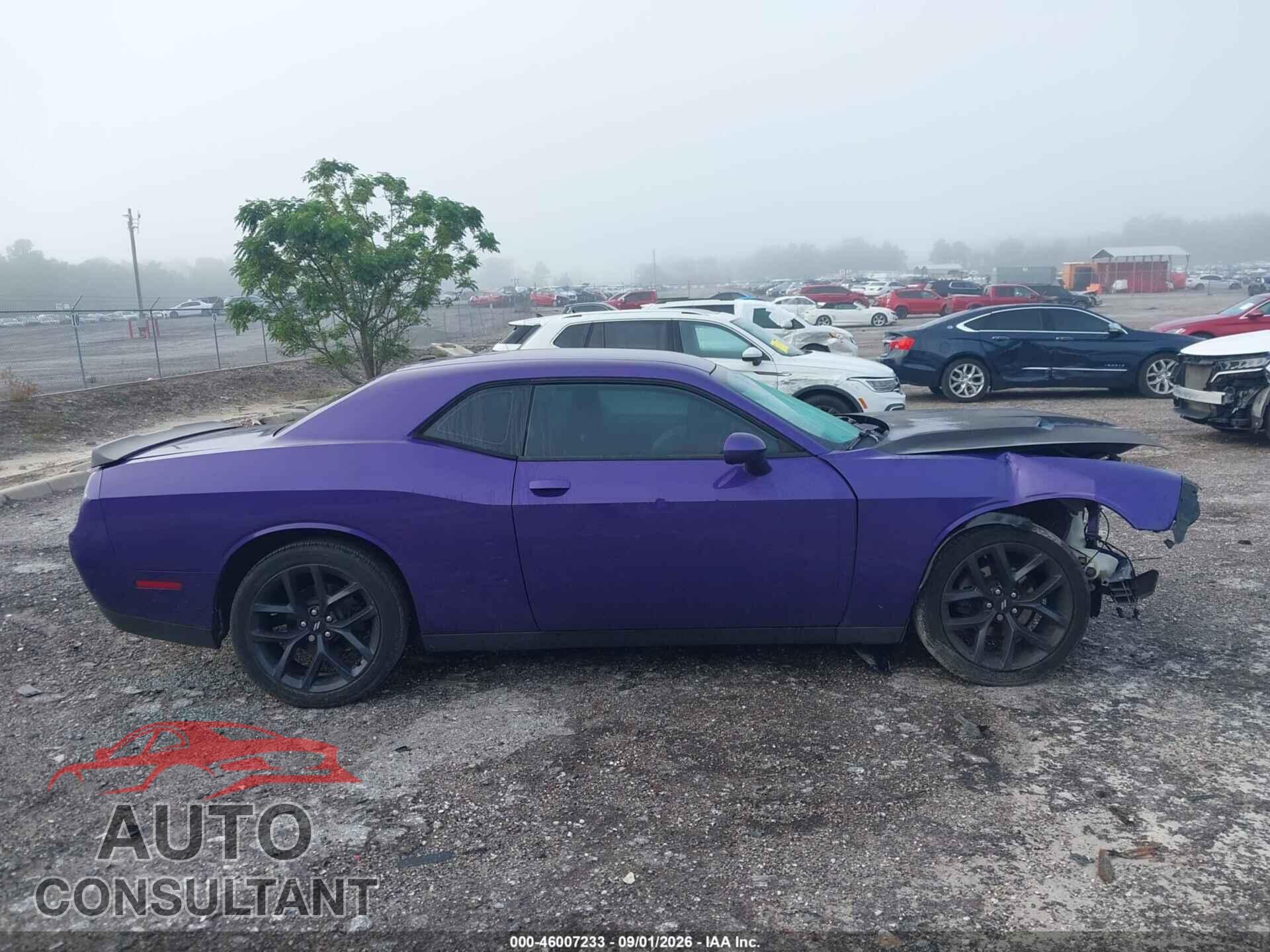 DODGE CHALLENGER 2019 - 2C3CDZAG9KH716903