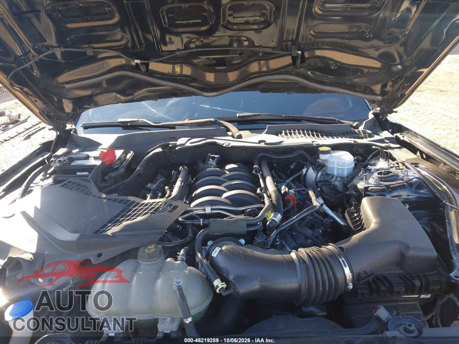 FORD MUSTANG 2021 - 1FA6P8CF2M5143373