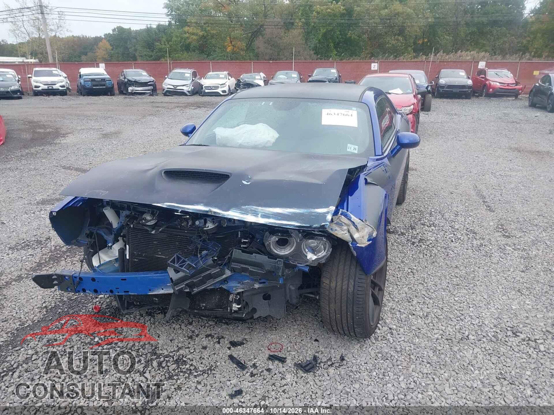 DODGE CHALLENGER 2021 - 2C3CDZFJ1MH631724