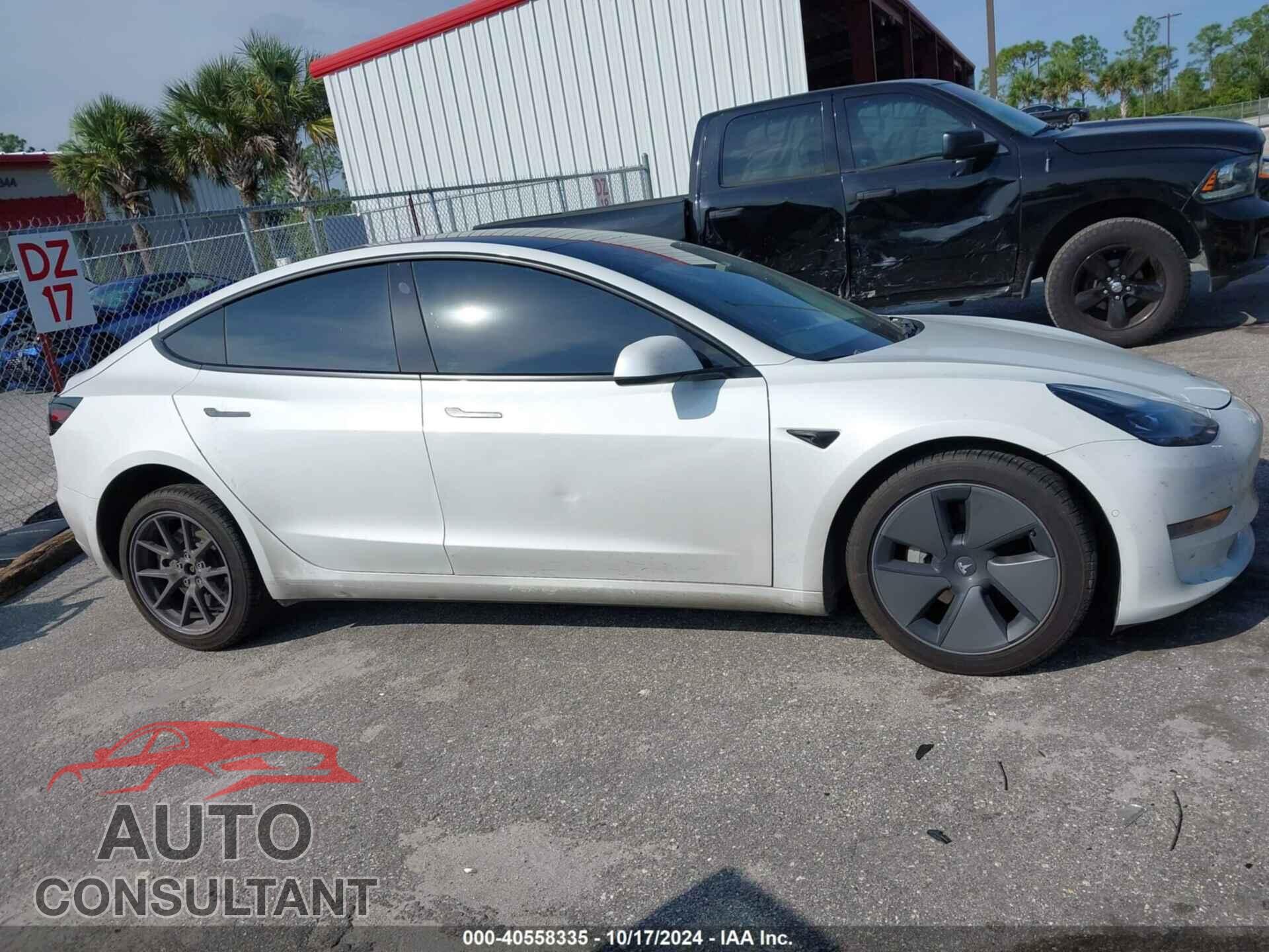 TESLA MODEL 3 2021 - 5YJ3E1EA2MF921195