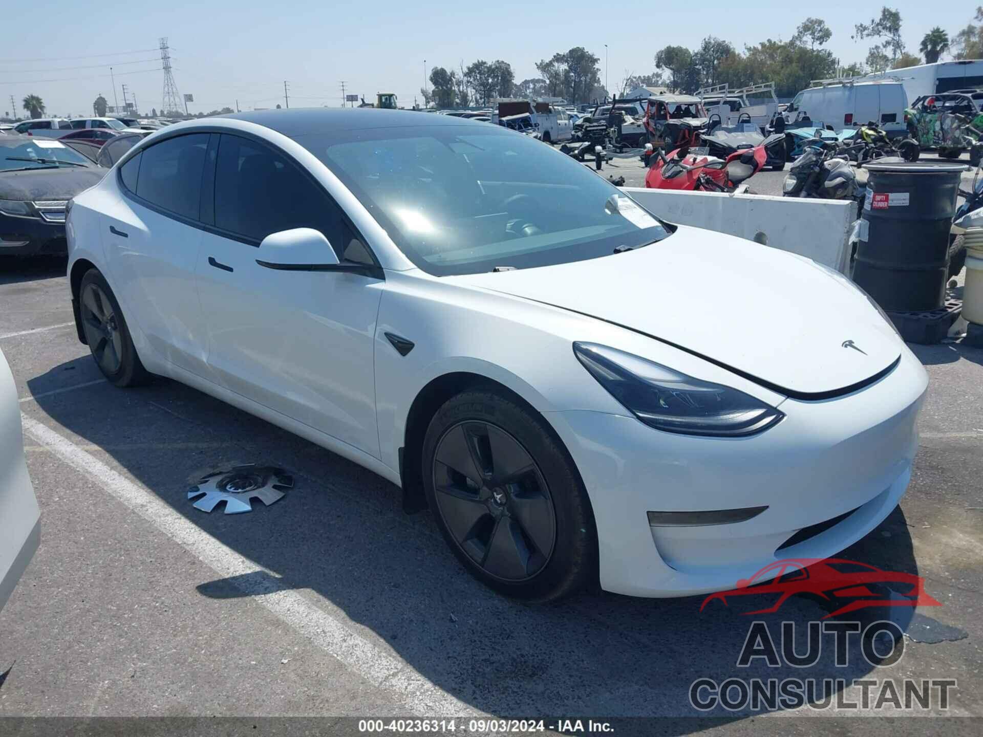 TESLA MODEL 3 2021 - 5YJ3E1EA9MF991177