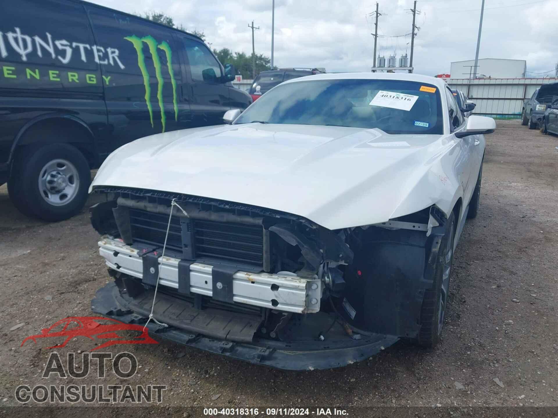 FORD MUSTANG 2017 - 1FA6P8TH2H5265187
