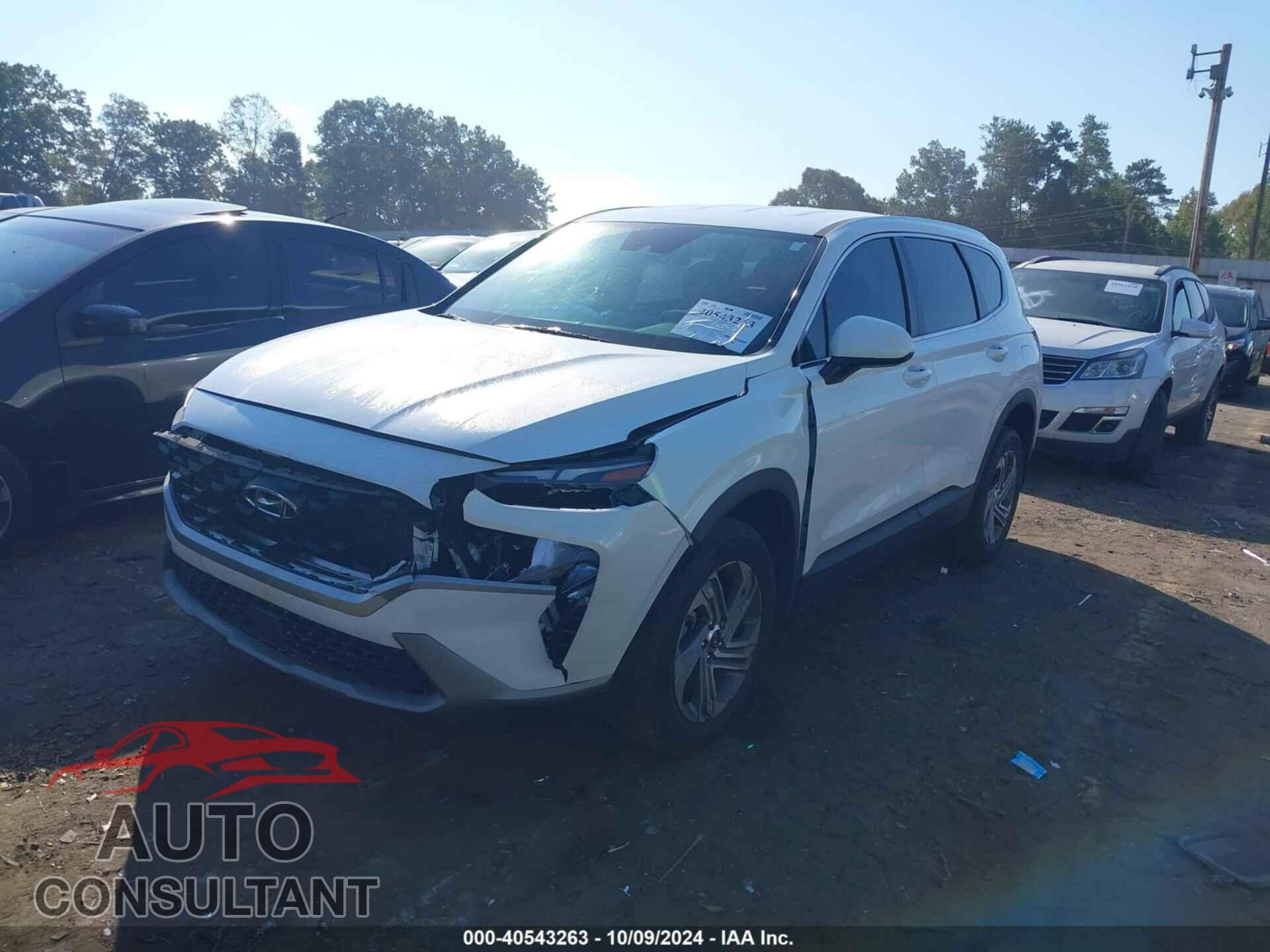 HYUNDAI SANTA FE 2023 - 5NMS14AJ6PH496825