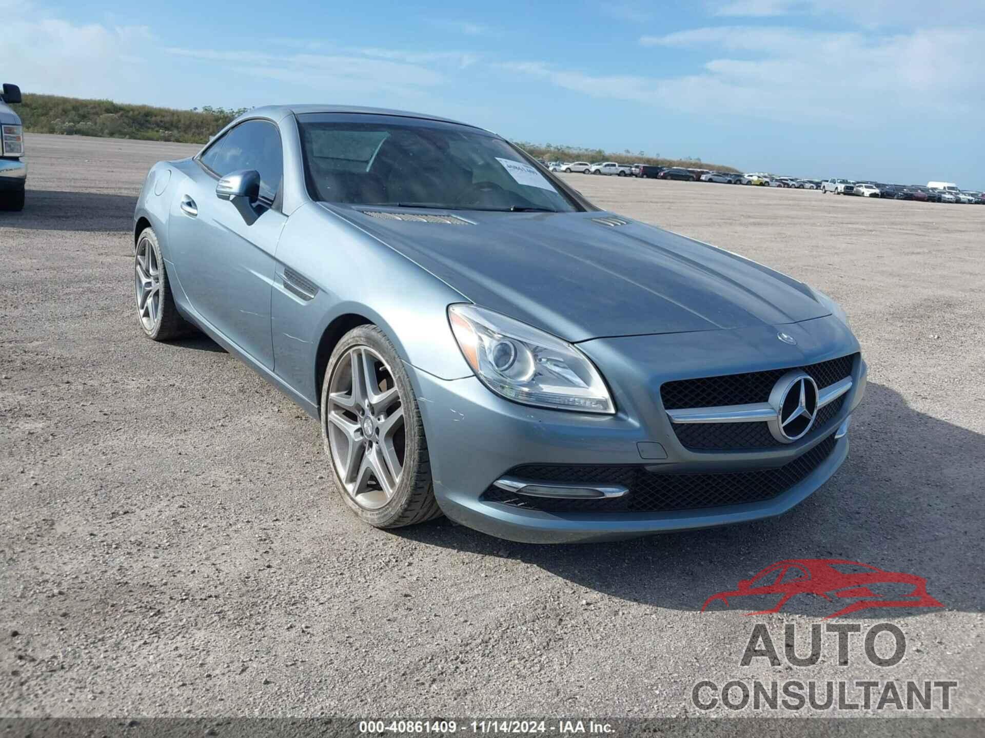 MERCEDES-BENZ SLK 250 2012 - WDDPK4HA7CF036353