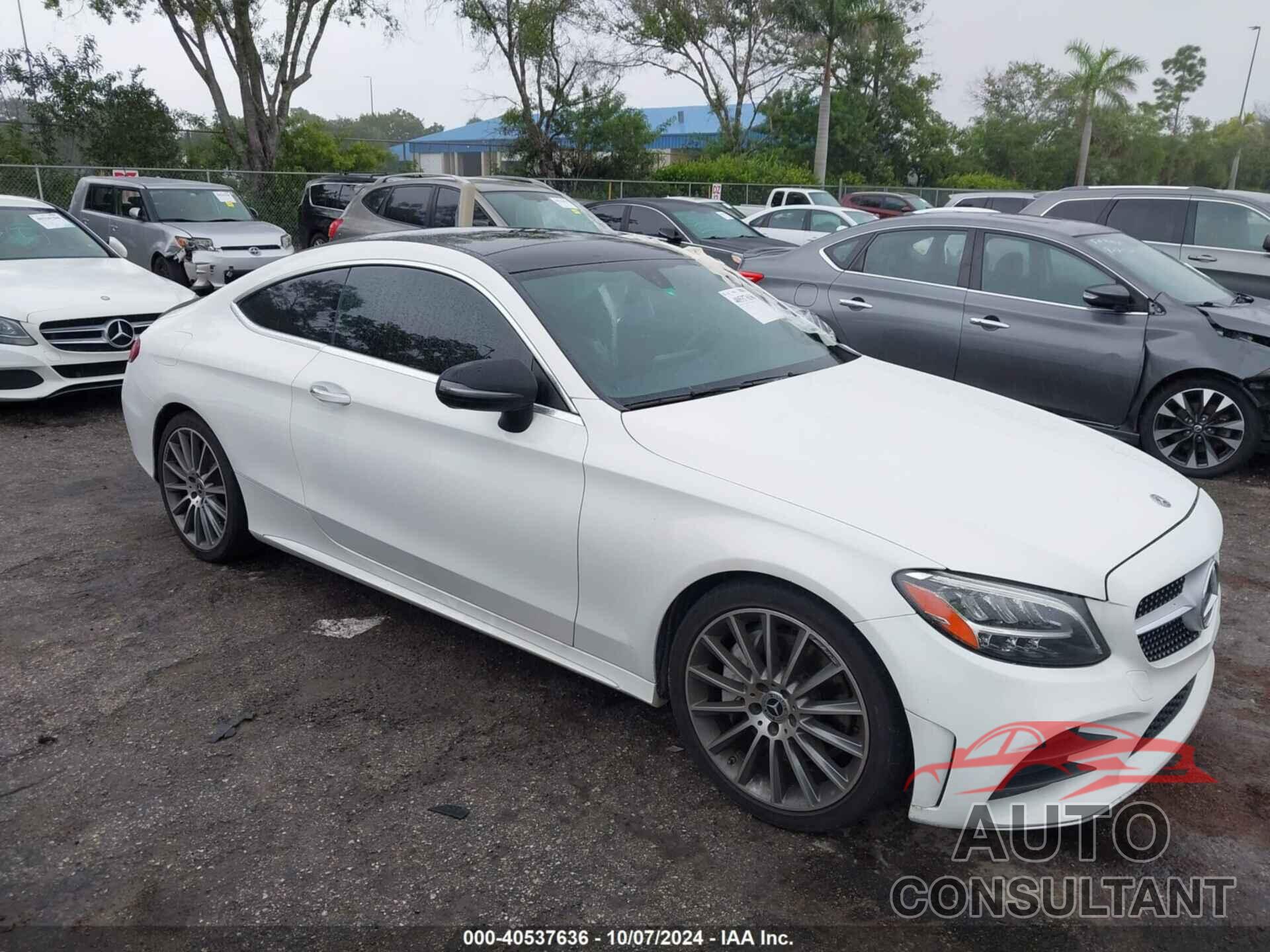 MERCEDES-BENZ C 300 2019 - WDDWJ8DB3KF784715