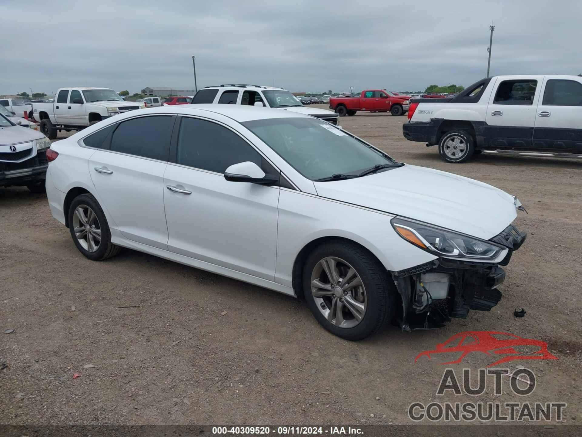 HYUNDAI SONATA 2019 - 5NPE34AF6KH763296