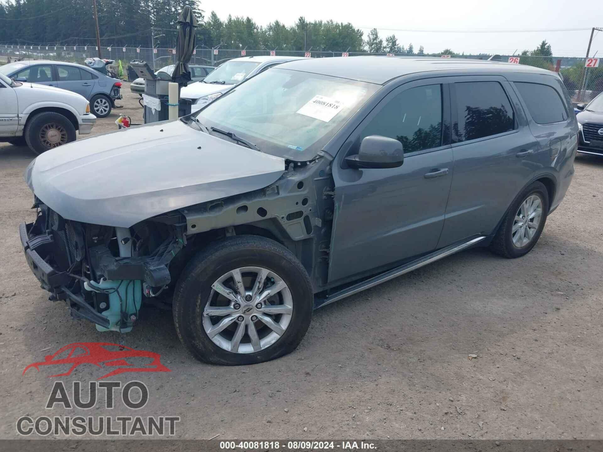 DODGE DURANGO 2019 - 1C4RDHAG7KC604748