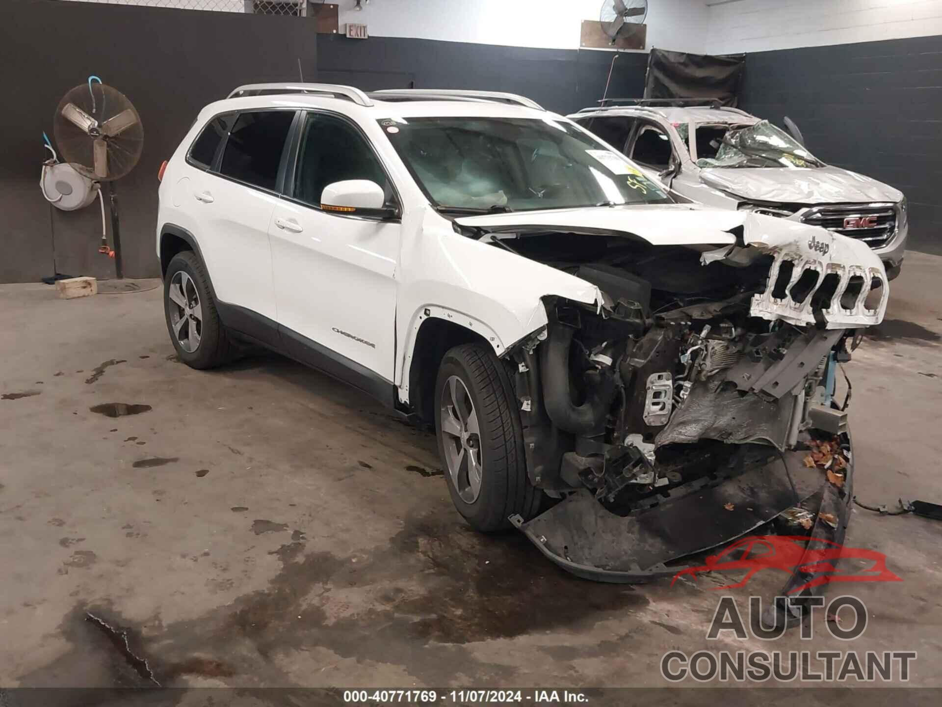 JEEP CHEROKEE 2019 - 1C4PJMDX1KD320823