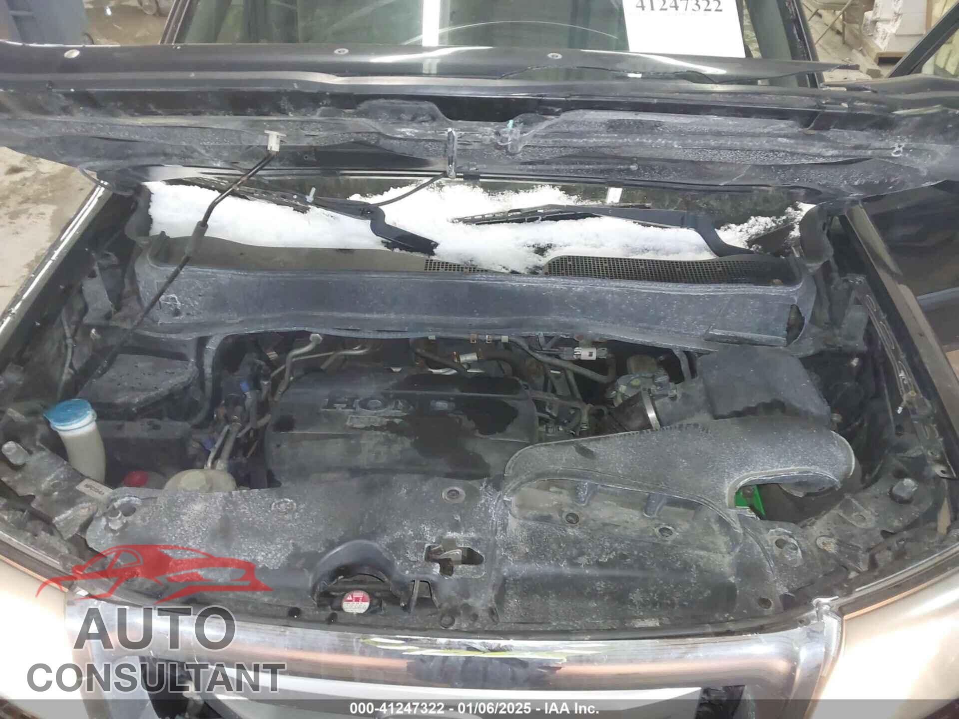 HONDA PILOT 2010 - 5FNYF4H29AB504872