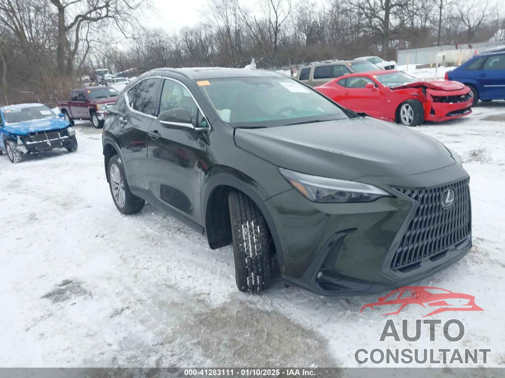 LEXUS NX 350H 2025 - 2T2GKCEZ7SC035303