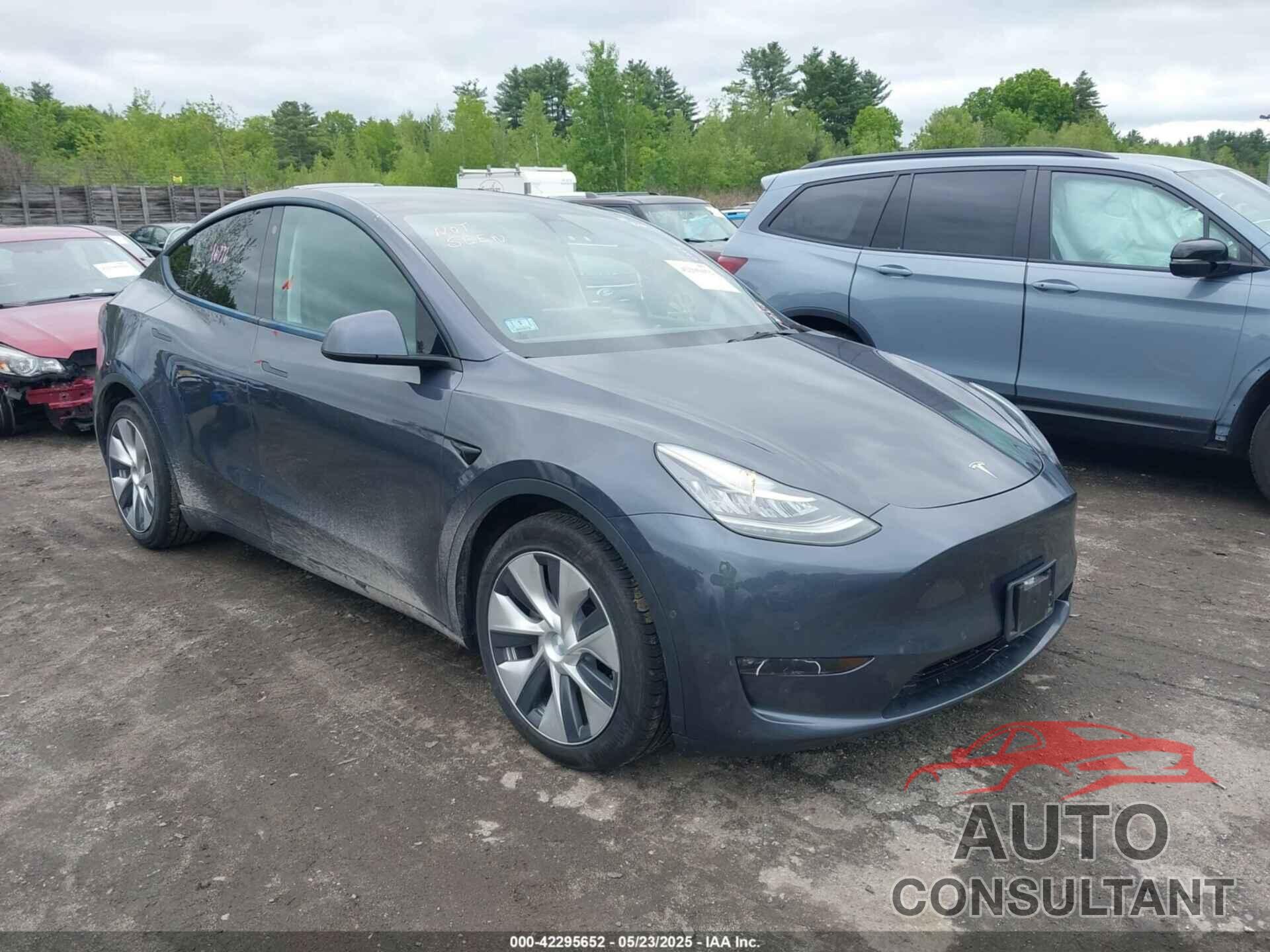 TESLA MODEL Y 2021 - 5YJYGDEE6MF146341