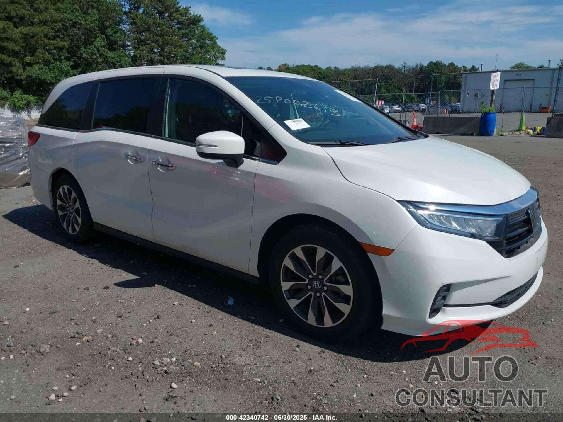 HONDA ODYSSEY 2022 - 5FNRL6H75NB066099