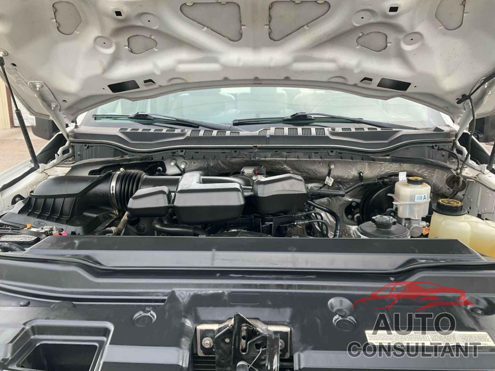 FORD F250 2019 - 1FTBF2A69KEC83087