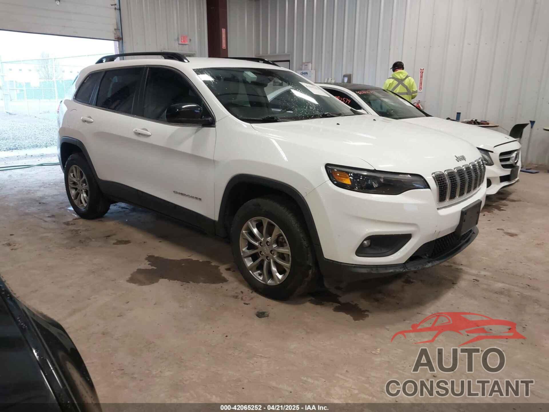 JEEP CHEROKEE 2022 - 1C4PJMMN2ND508429