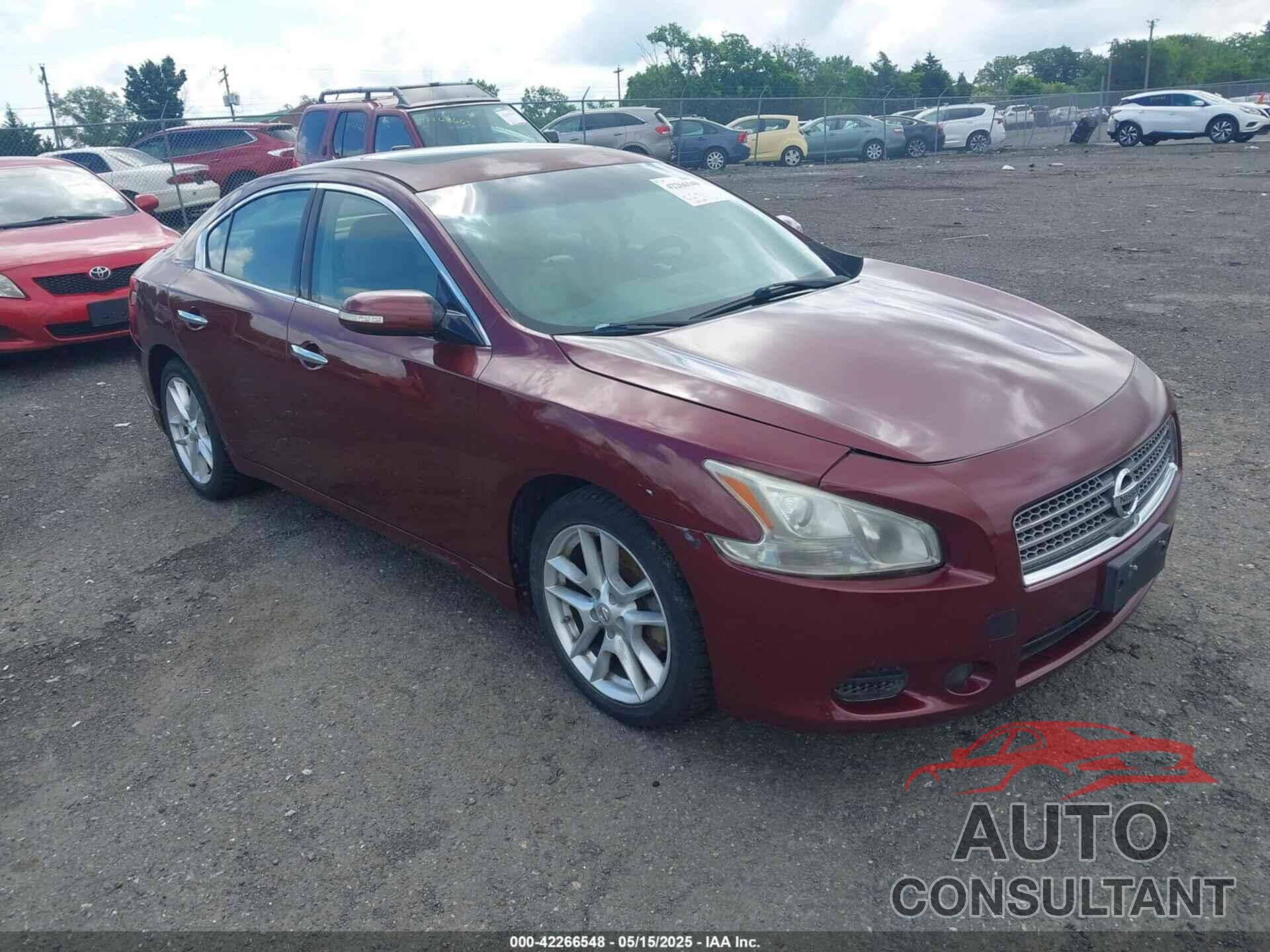 NISSAN MAXIMA 2010 - 1N4AA5AP3AC838149