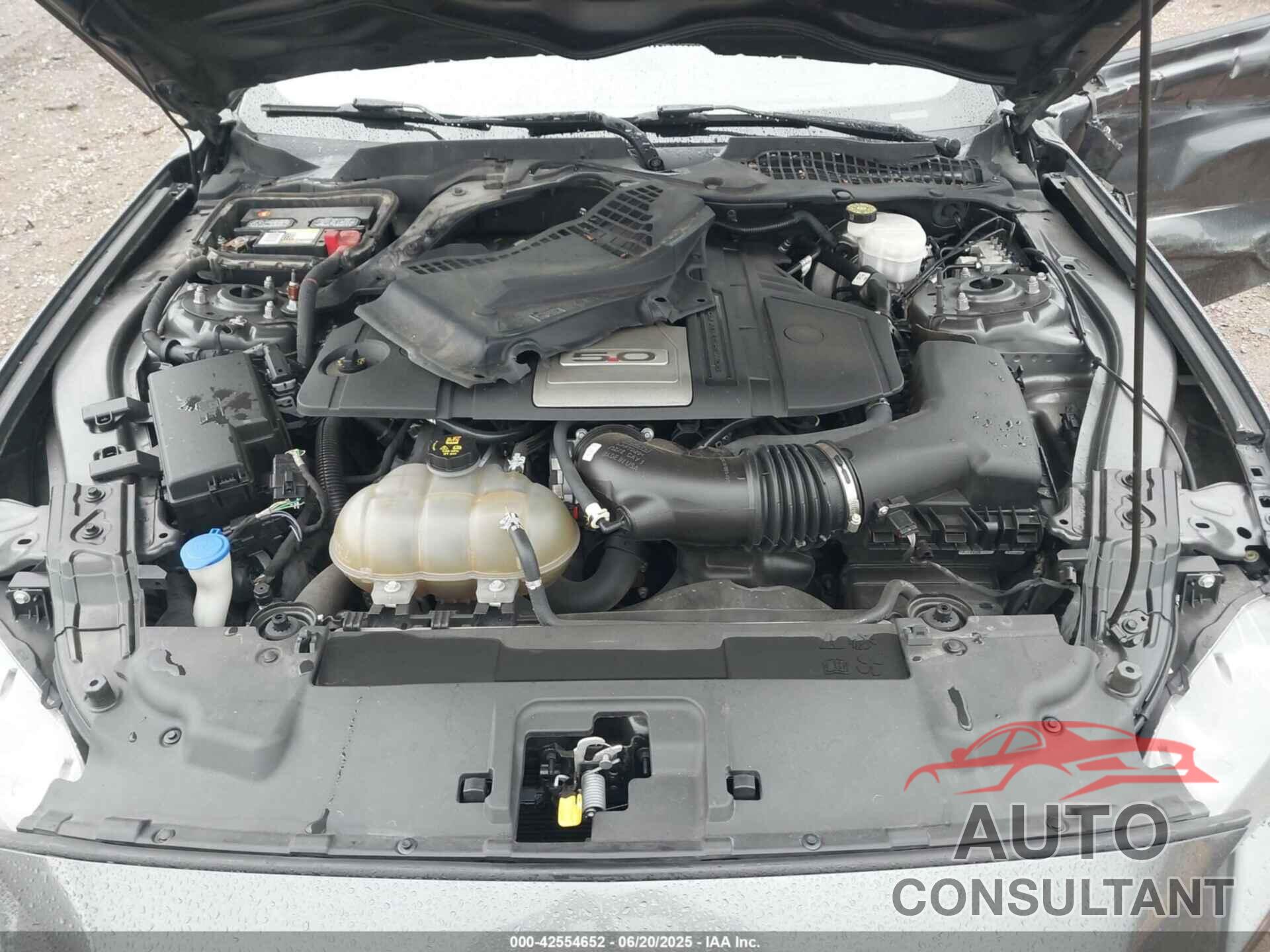 FORD MUSTANG 2020 - 1FA6P8CF7L5133601