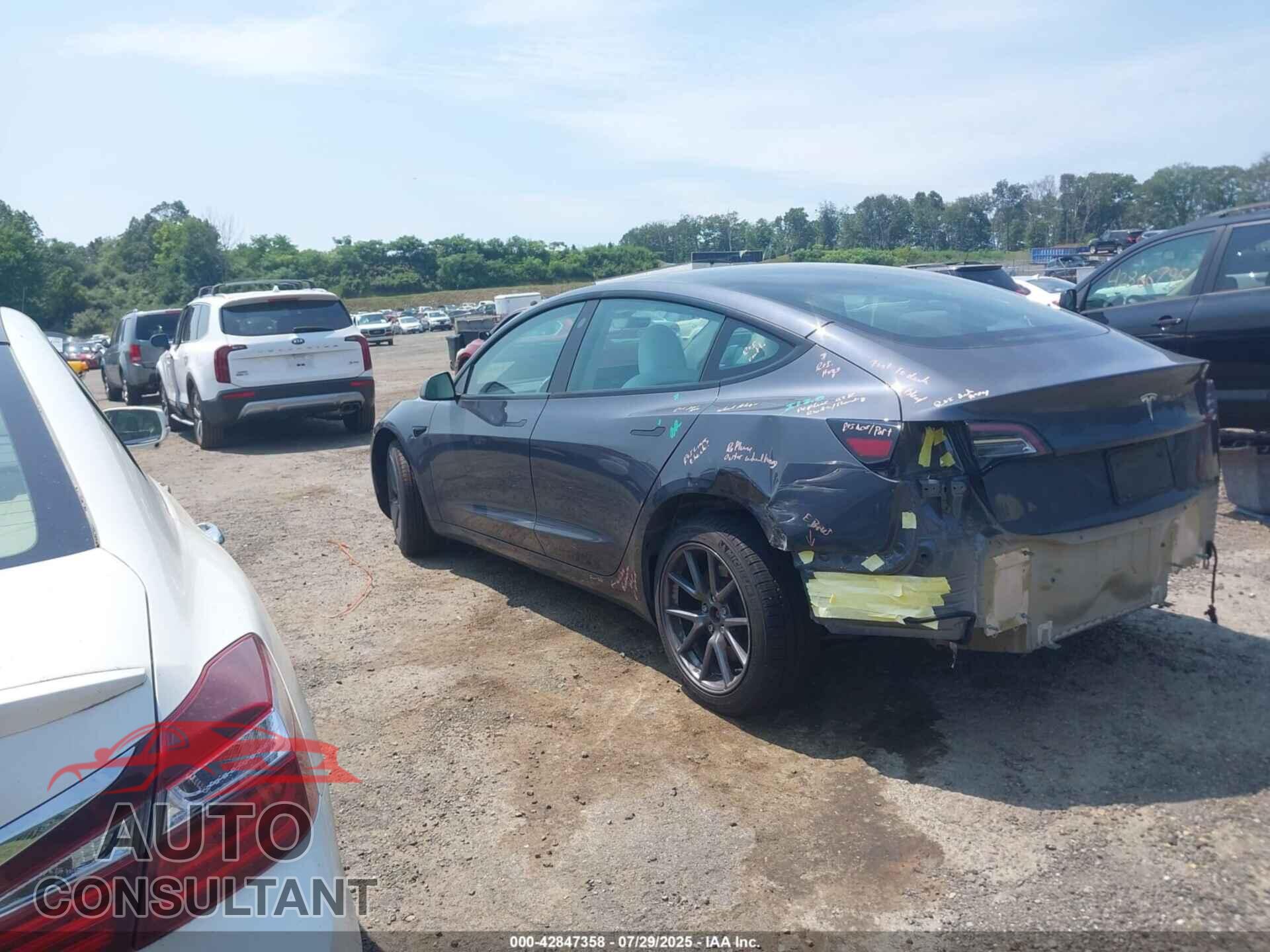 TESLA MODEL 3 2023 - 5YJ3E1EA2PF646352