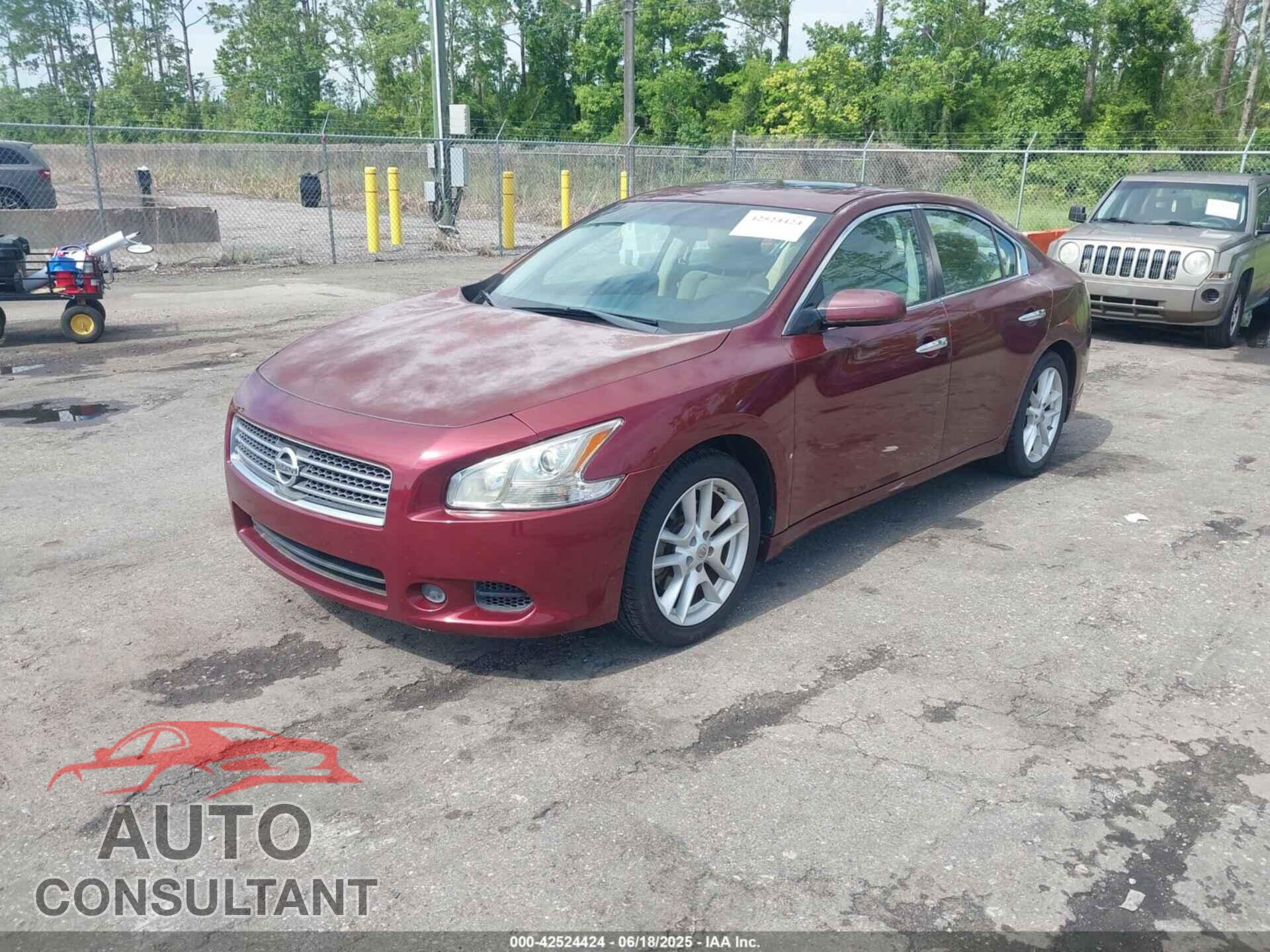 NISSAN MAXIMA 2011 - 1N4AA5AP1BC832304