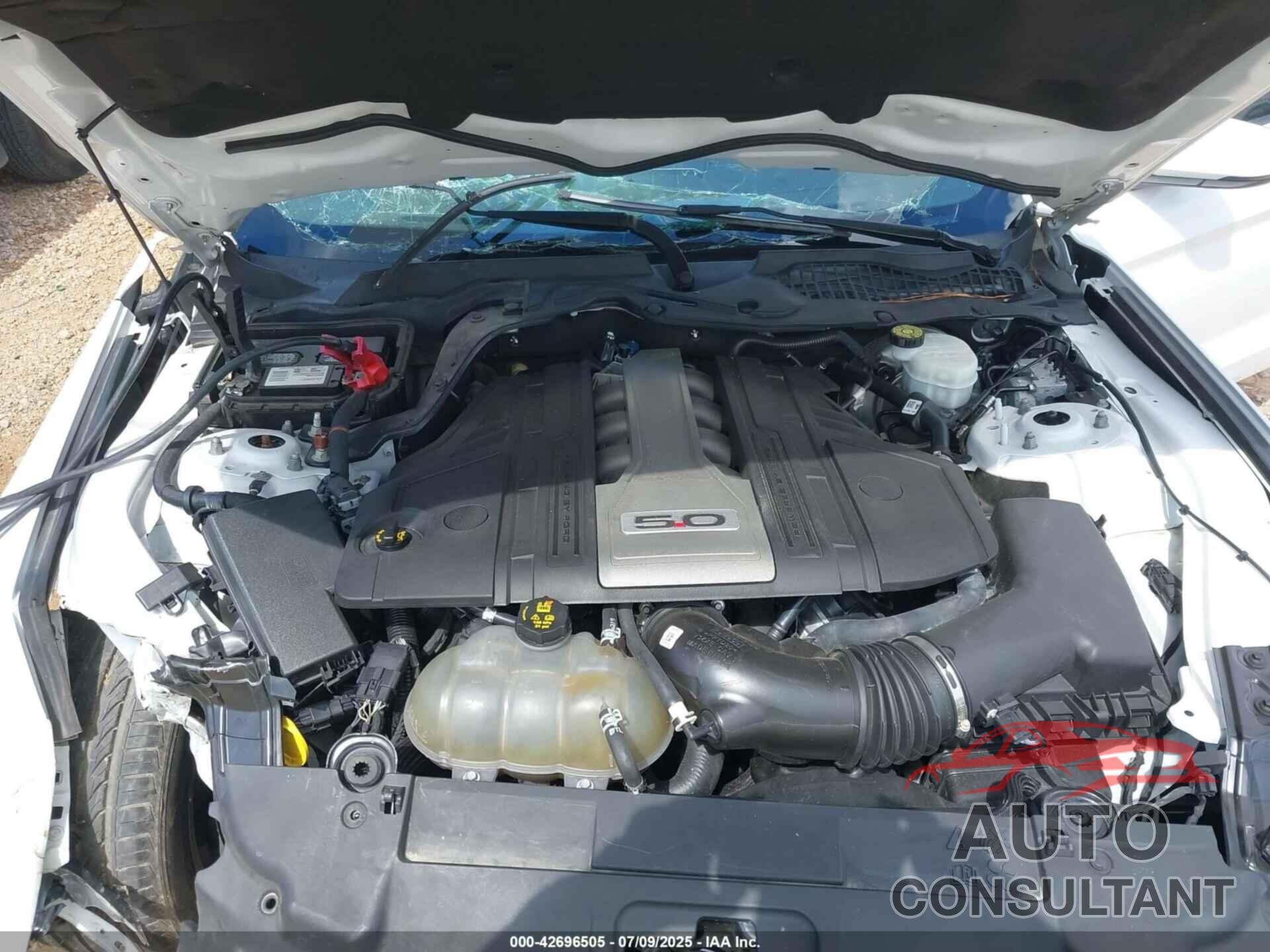 FORD MUSTANG 2019 - 1FA6P8CF0K5186381