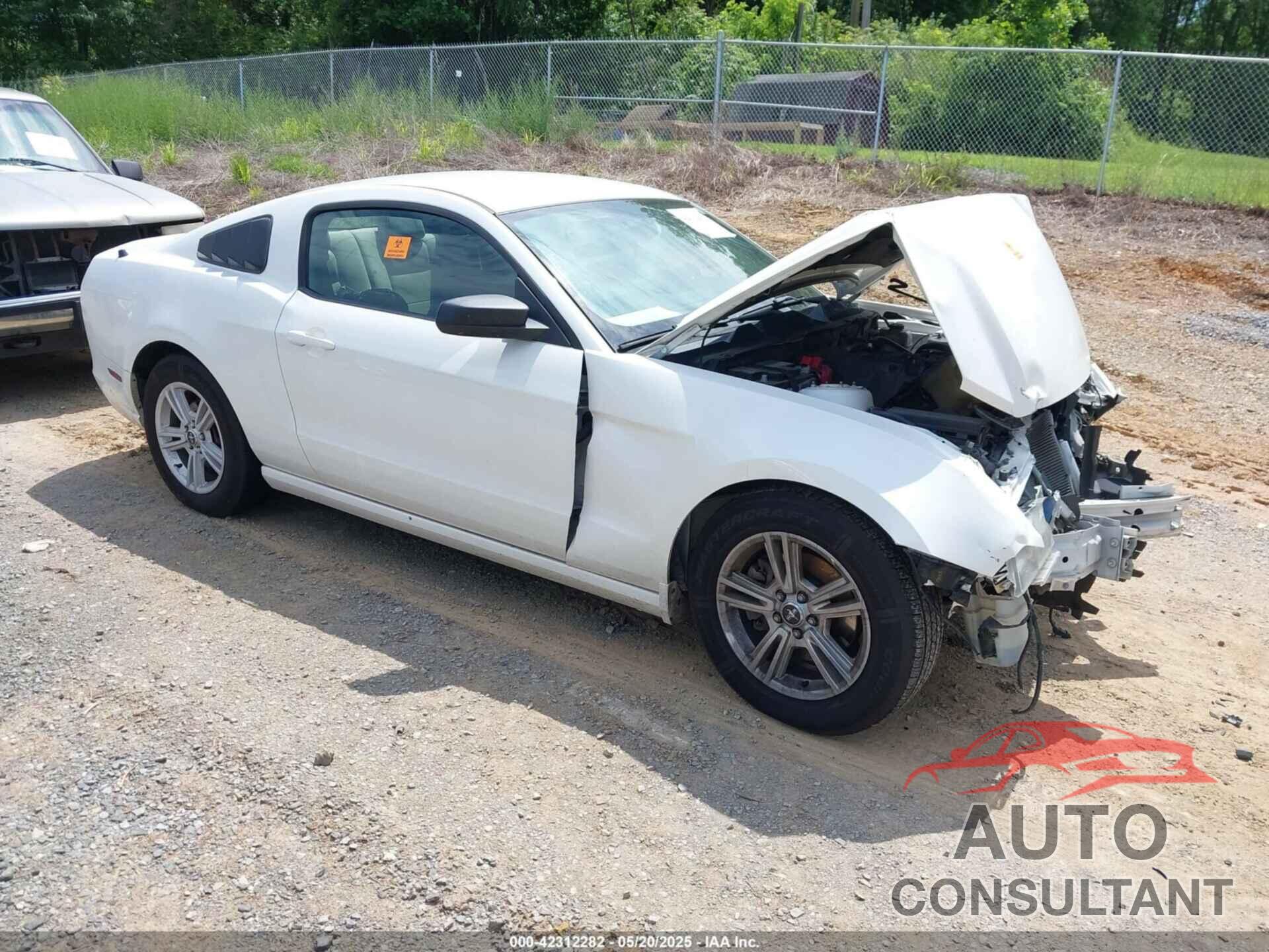 FORD MUSTANG 2013 - 1ZVBP8AM4D5261559