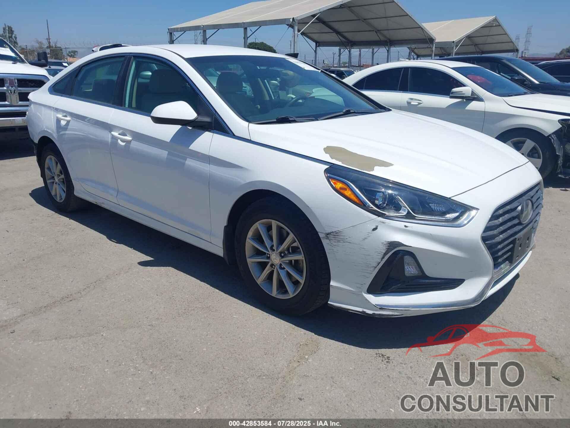 HYUNDAI SONATA 2019 - 5NPE24AF6KH807946