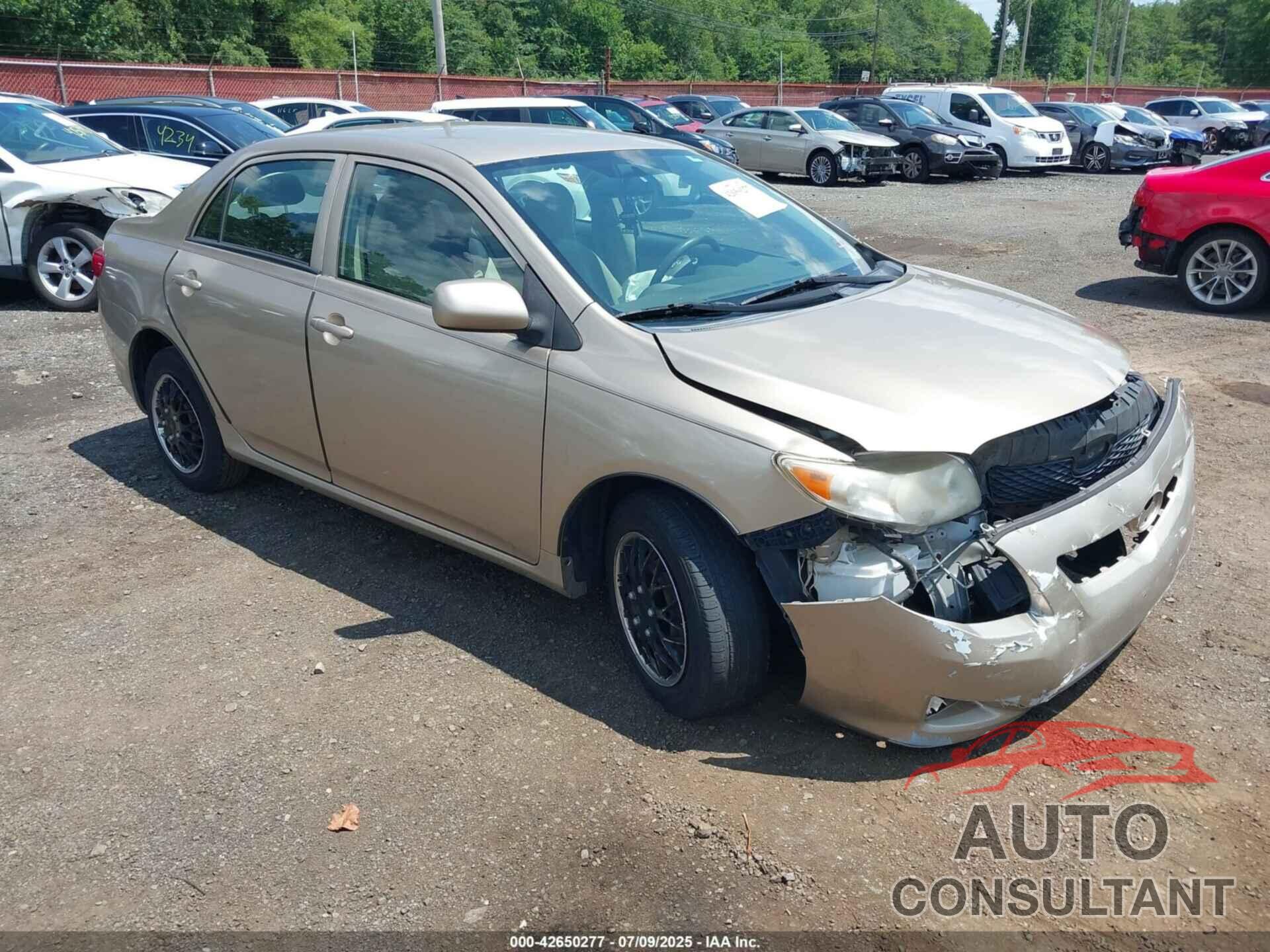TOYOTA COROLLA 2009 - 2T1BU40E79C127105